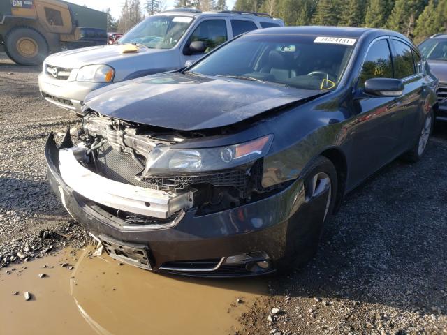 Photo 1 VIN: 19UUA8F59DA016960 - ACURA TL TECH 