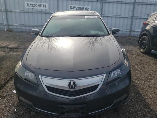 Photo 4 VIN: 19UUA8F59DA800331 - ACURA TL TECH 