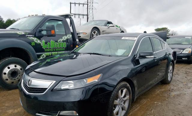 Photo 1 VIN: 19UUA8F59EA003319 - ACURA TL 