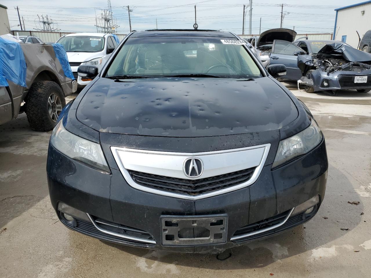 Photo 4 VIN: 19UUA8F59EA007791 - ACURA TL 