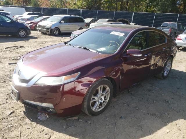 Photo 1 VIN: 19UUA8F5XBA008282 - ACURA TL 