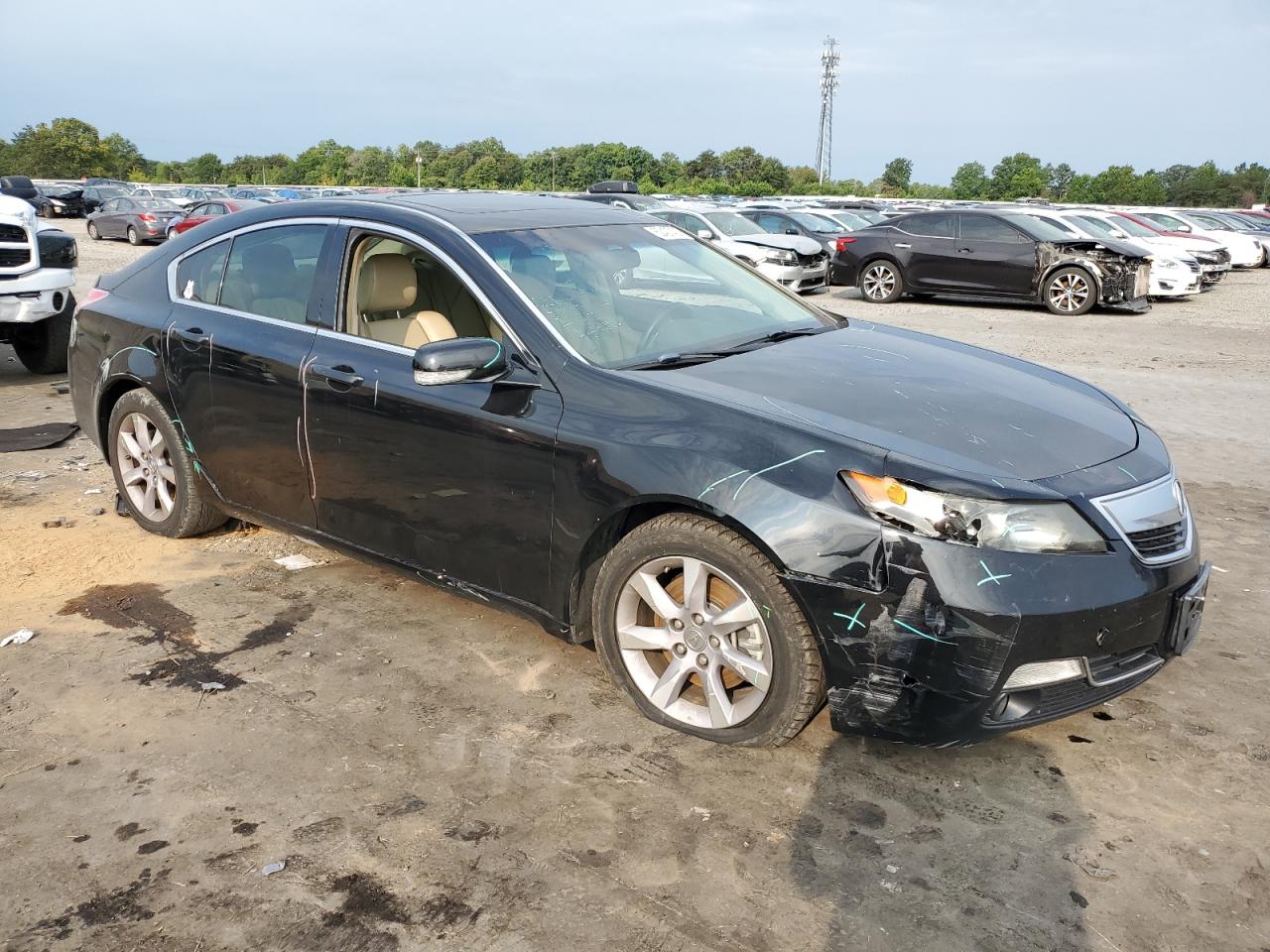 Photo 3 VIN: 19UUA8F5XDA012352 - ACURA TL 