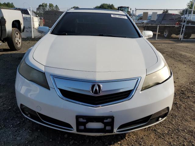 Photo 4 VIN: 19UUA8F71CA013065 - ACURA TL 