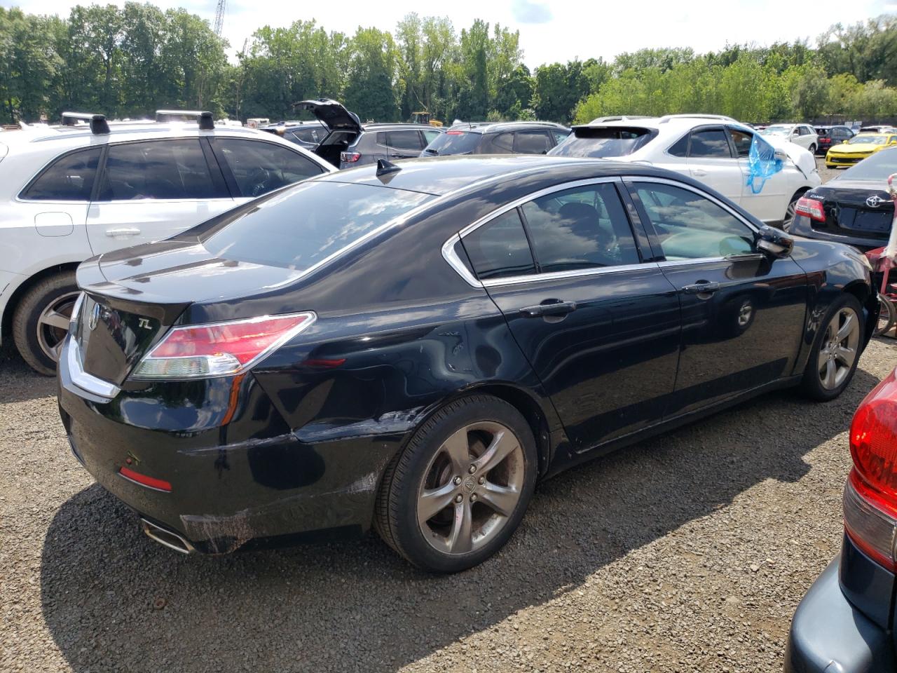 Photo 2 VIN: 19UUA8F72CA030084 - ACURA TL 