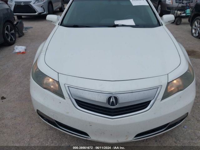 Photo 5 VIN: 19UUA8F74CA016834 - ACURA TL 