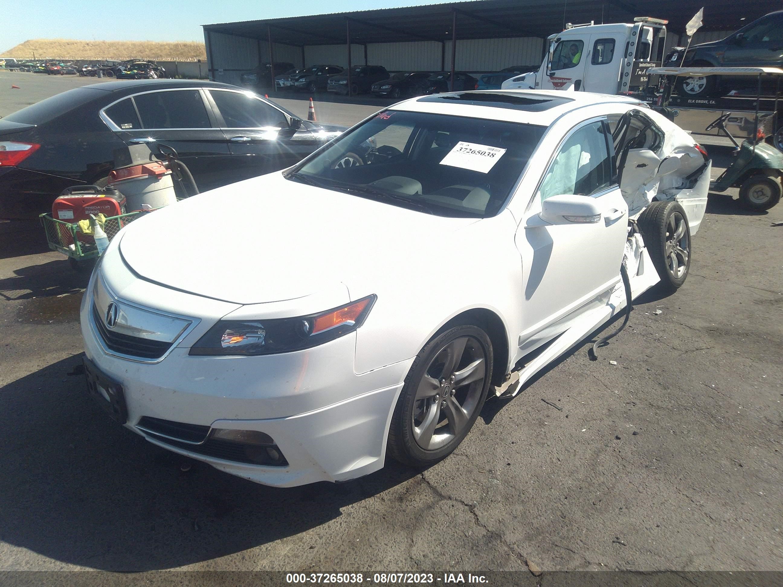 Photo 1 VIN: 19UUA8F78DA016904 - ACURA TL 