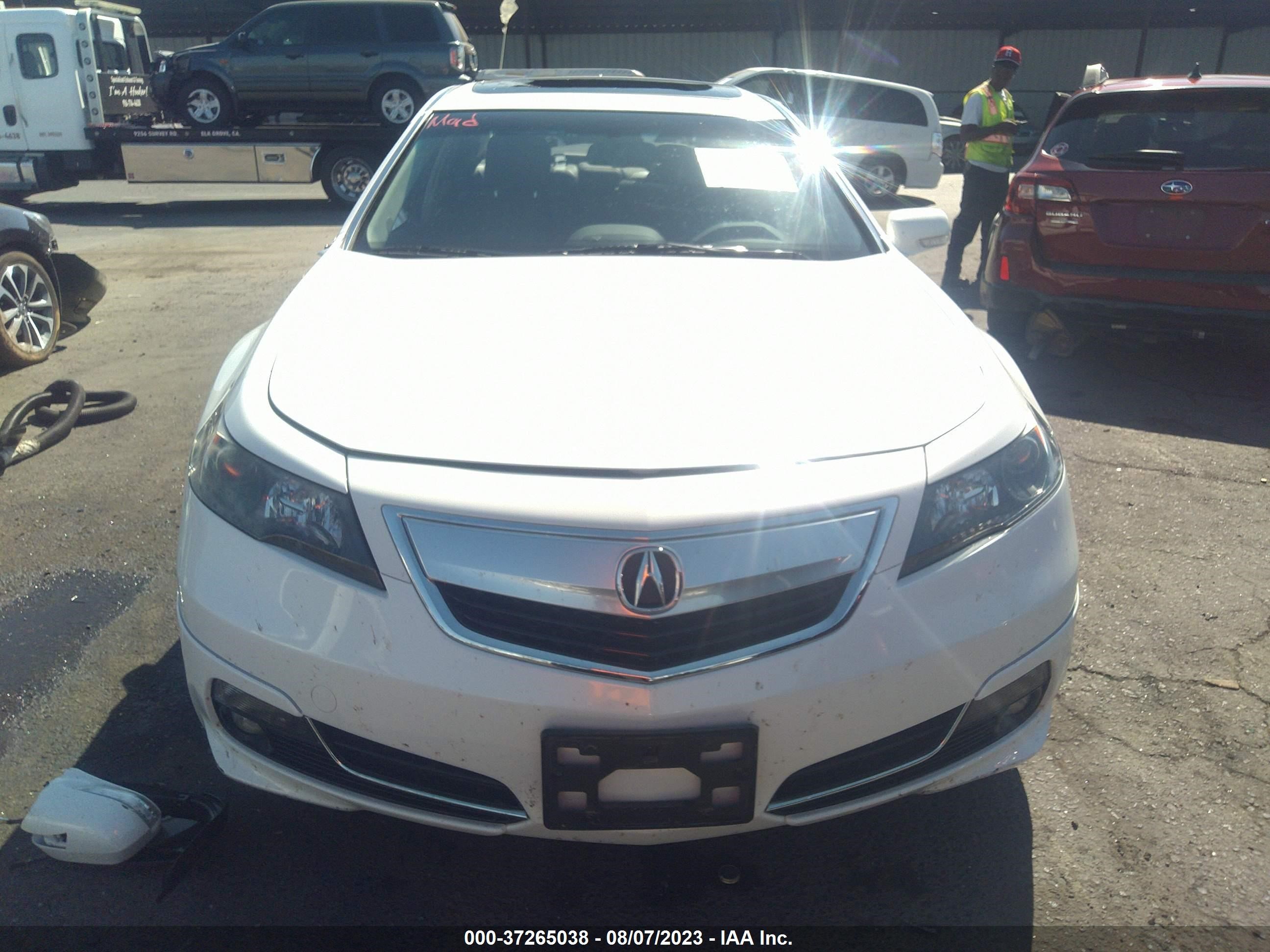 Photo 11 VIN: 19UUA8F78DA016904 - ACURA TL 