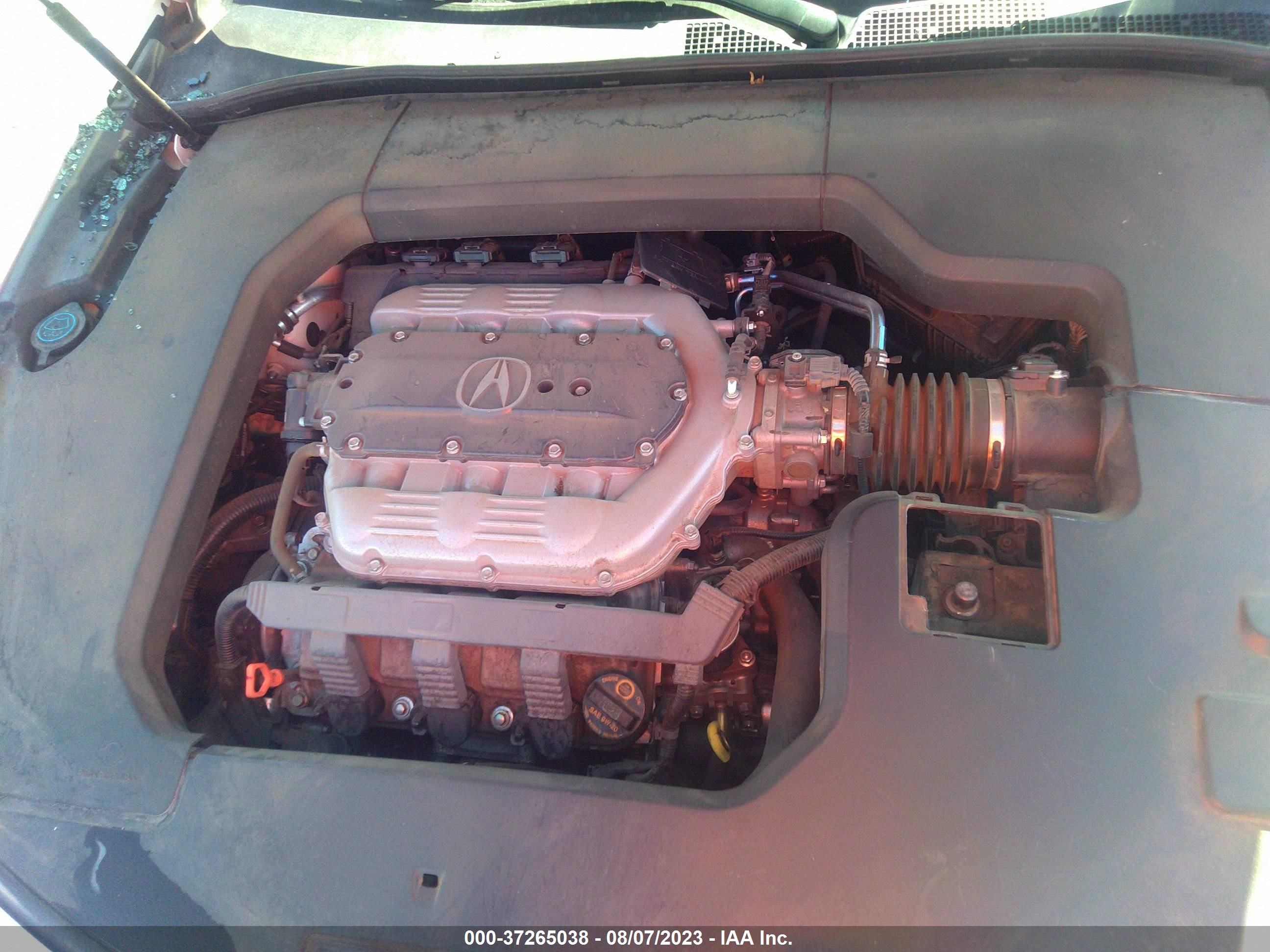 Photo 9 VIN: 19UUA8F78DA016904 - ACURA TL 