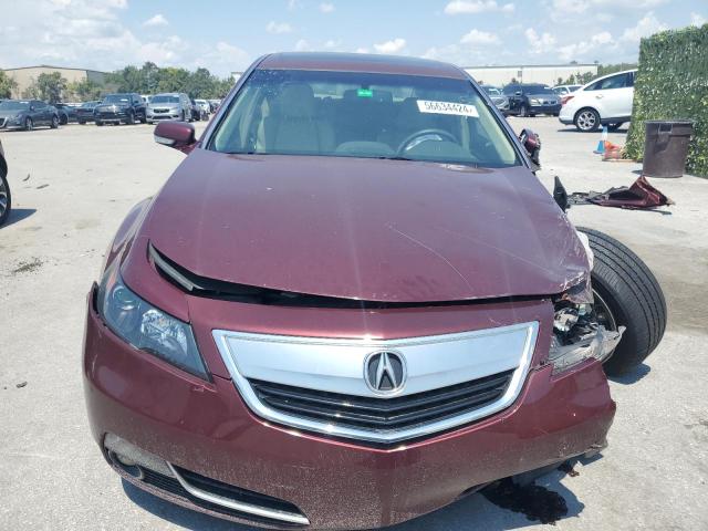 Photo 4 VIN: 19UUA8F78EA006391 - ACURA TL 