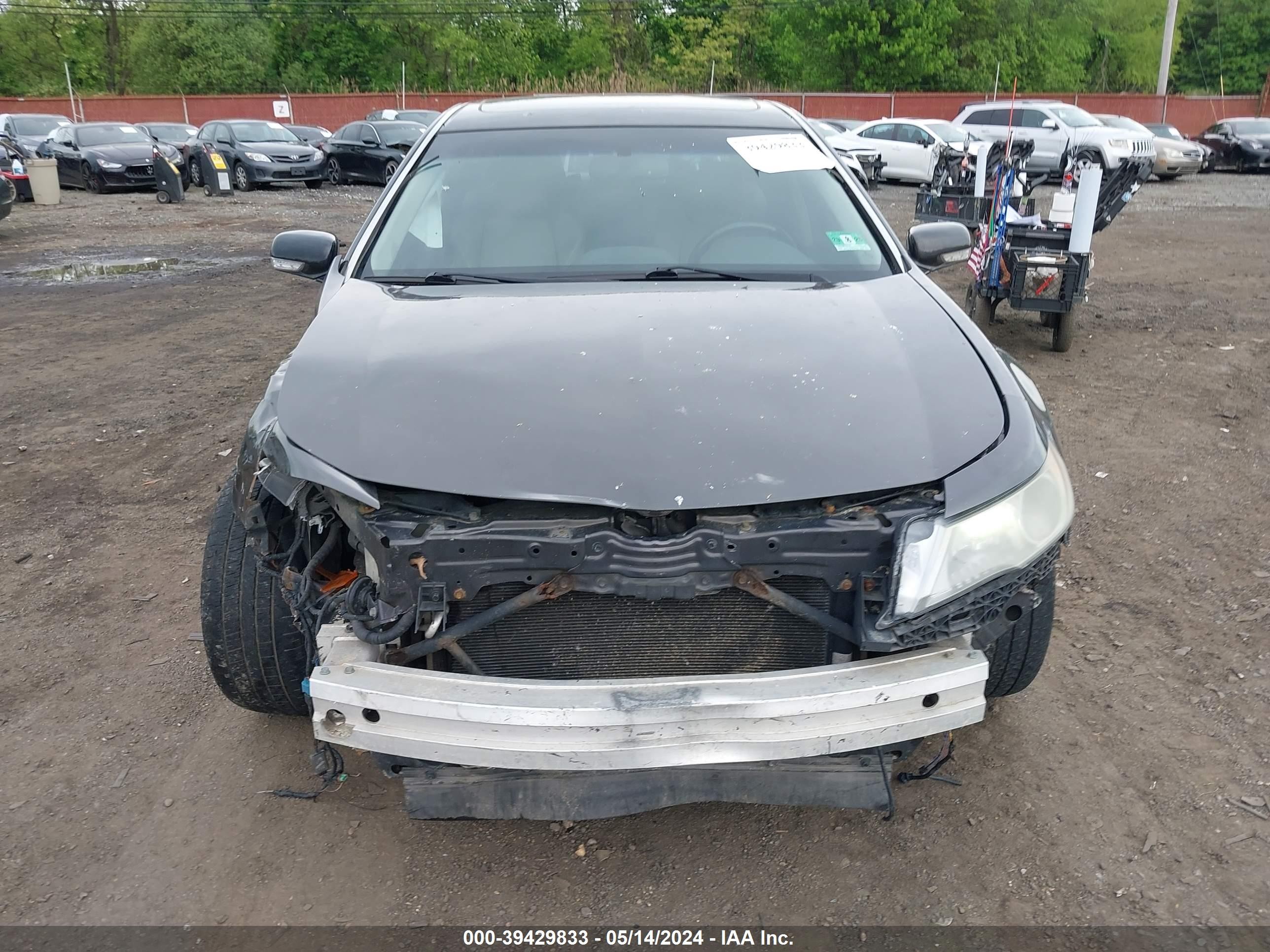 Photo 11 VIN: 19UUA96259A001410 - ACURA TL 