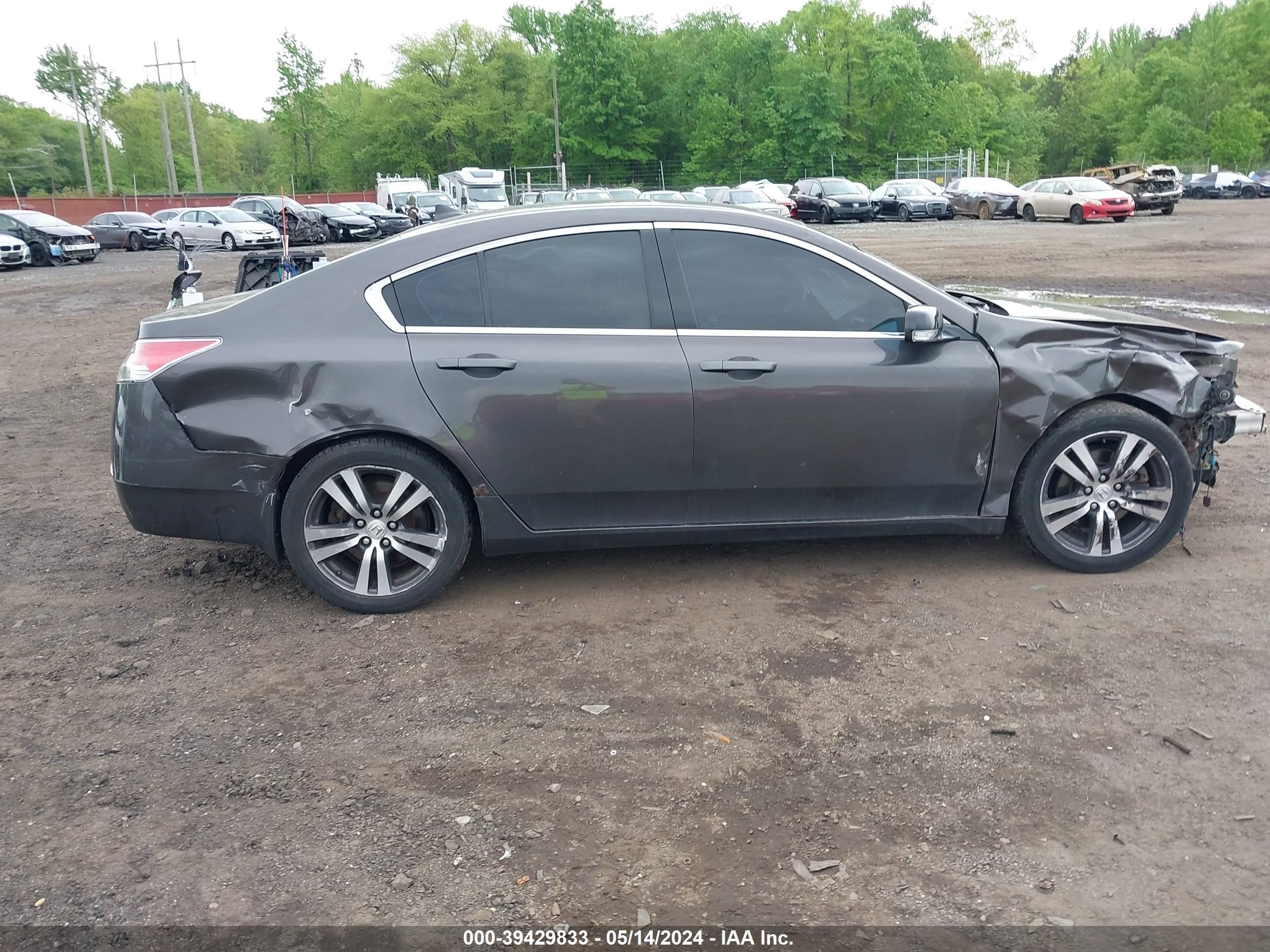 Photo 12 VIN: 19UUA96259A001410 - ACURA TL 