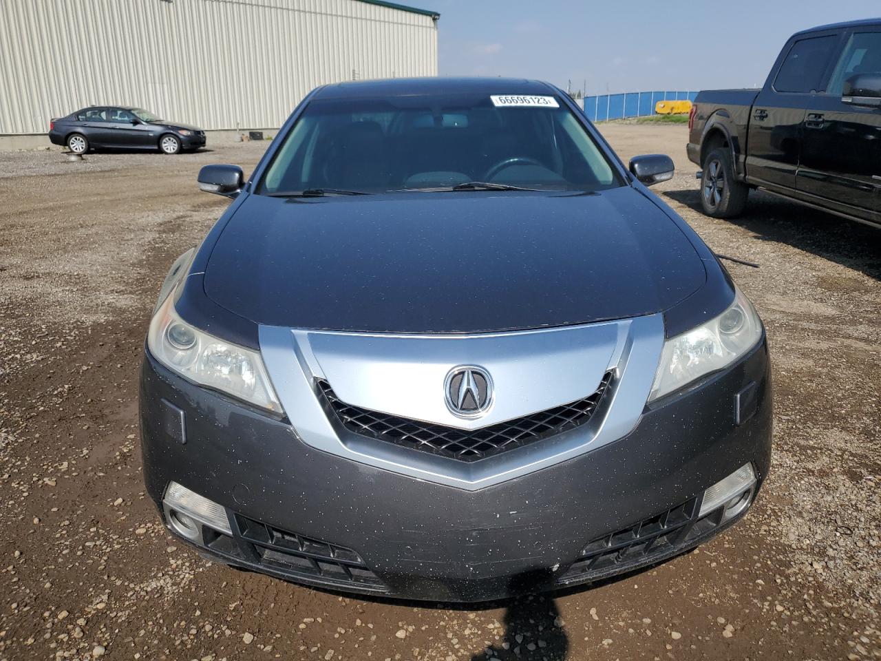 Photo 4 VIN: 19UUA96519A801177 - ACURA TL 