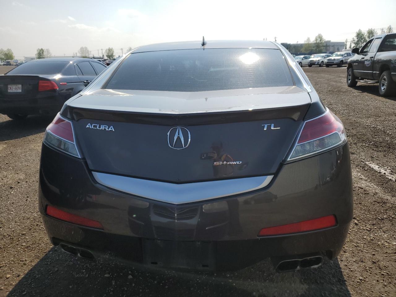 Photo 5 VIN: 19UUA96519A801177 - ACURA TL 