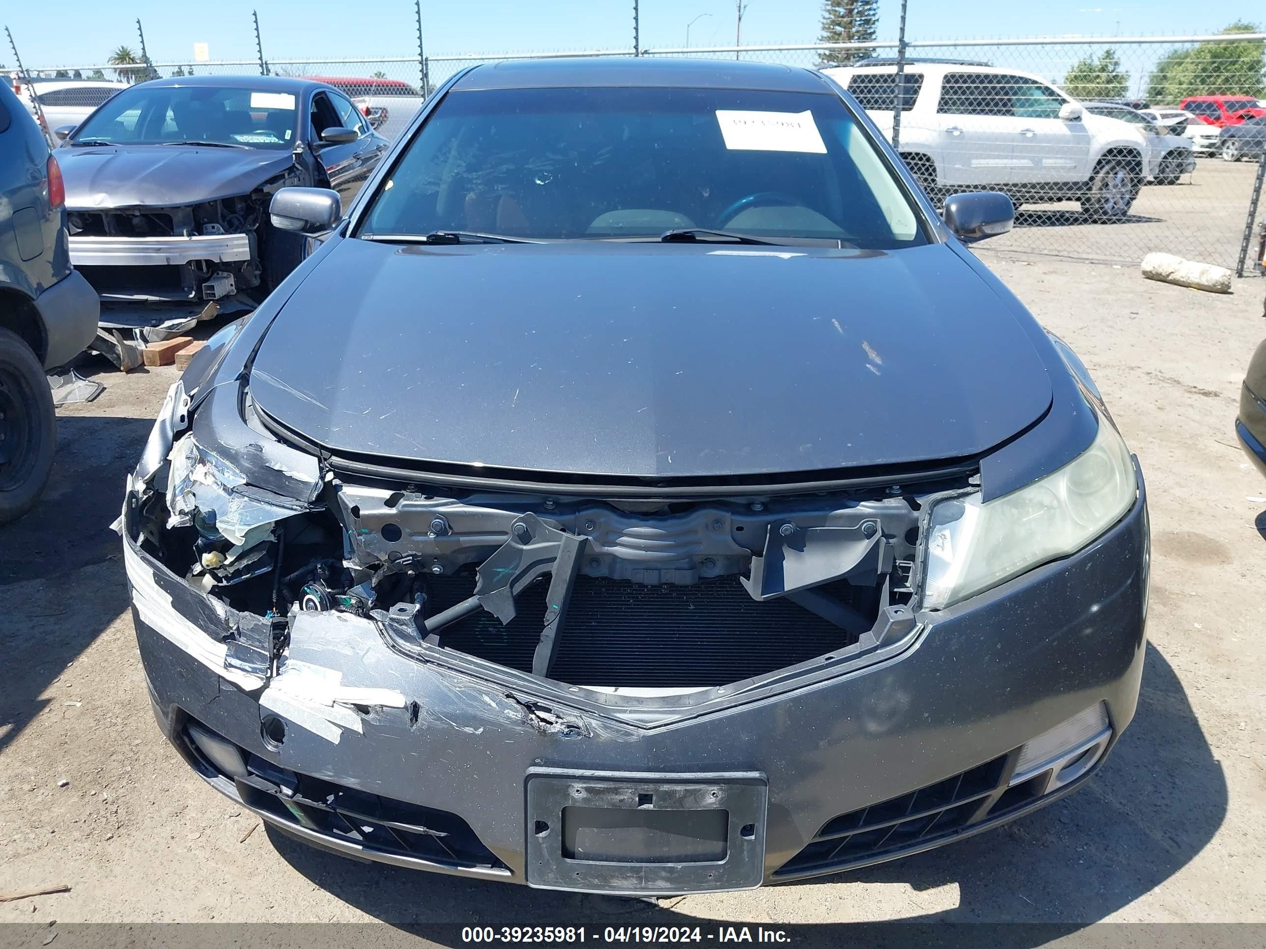 Photo 11 VIN: 19UUA96529A001505 - ACURA TL 