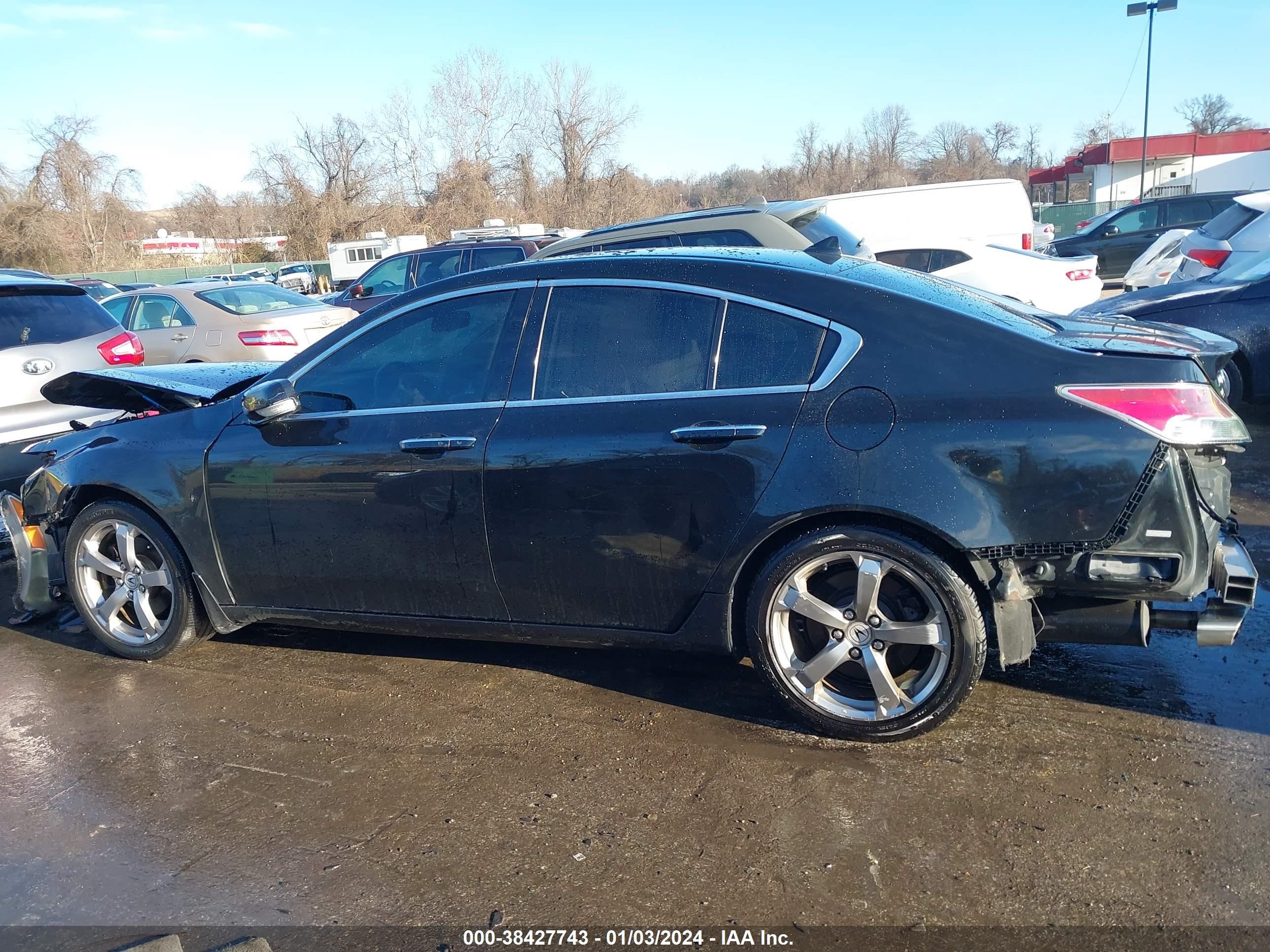 Photo 12 VIN: 19UUA96529A002301 - ACURA TL 