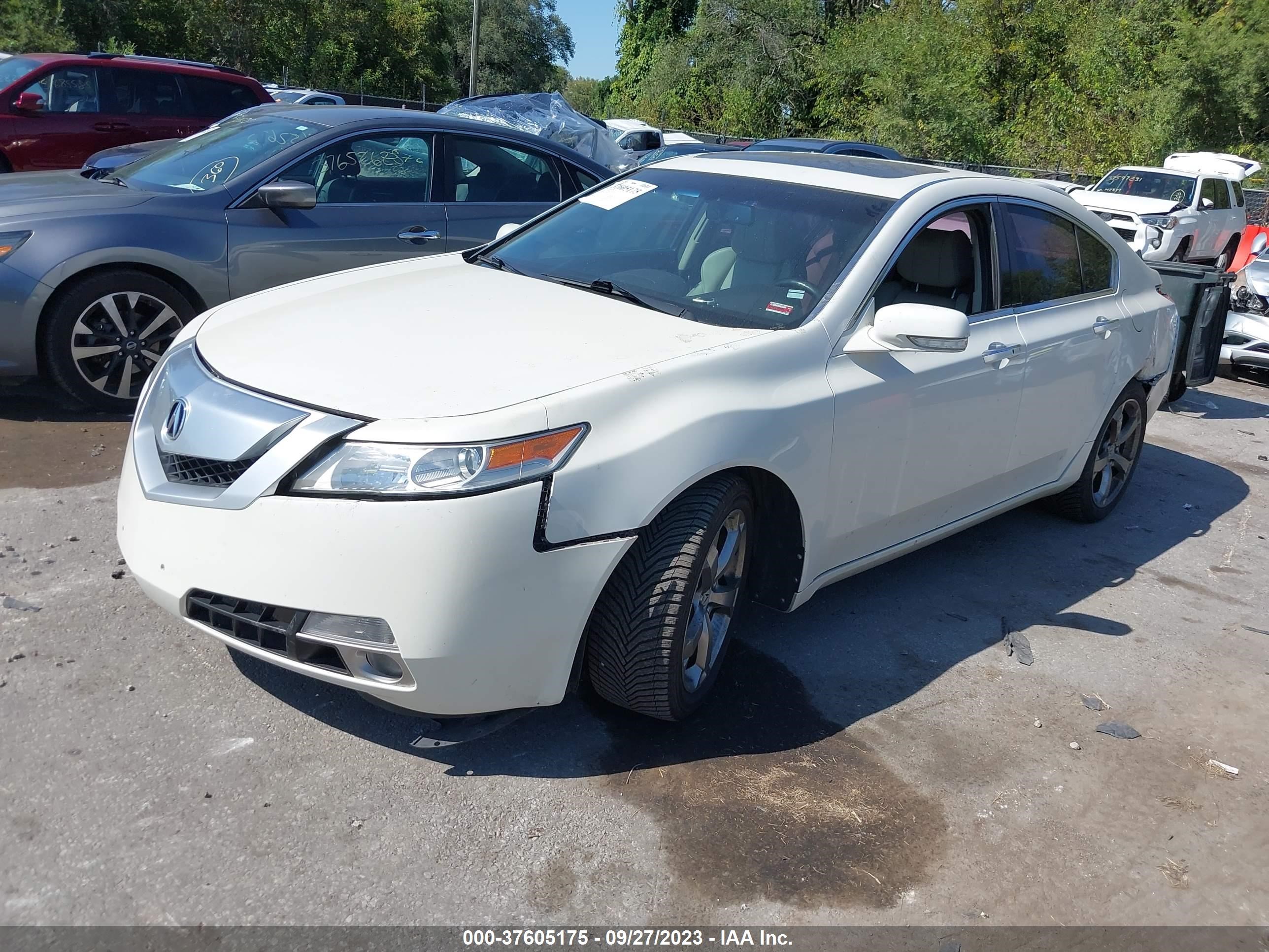 Photo 1 VIN: 19UUA96539A003747 - ACURA TL 