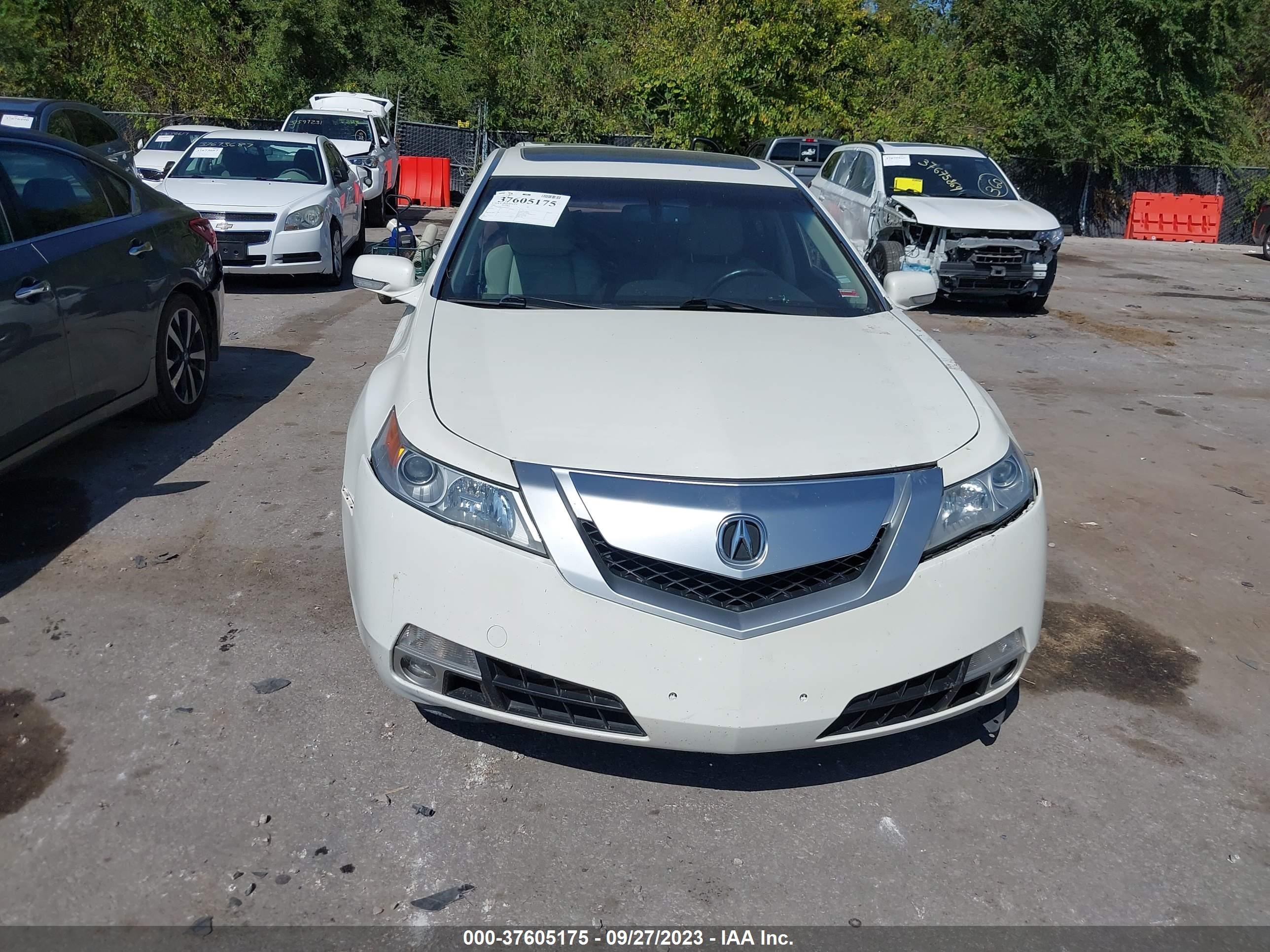 Photo 11 VIN: 19UUA96539A003747 - ACURA TL 