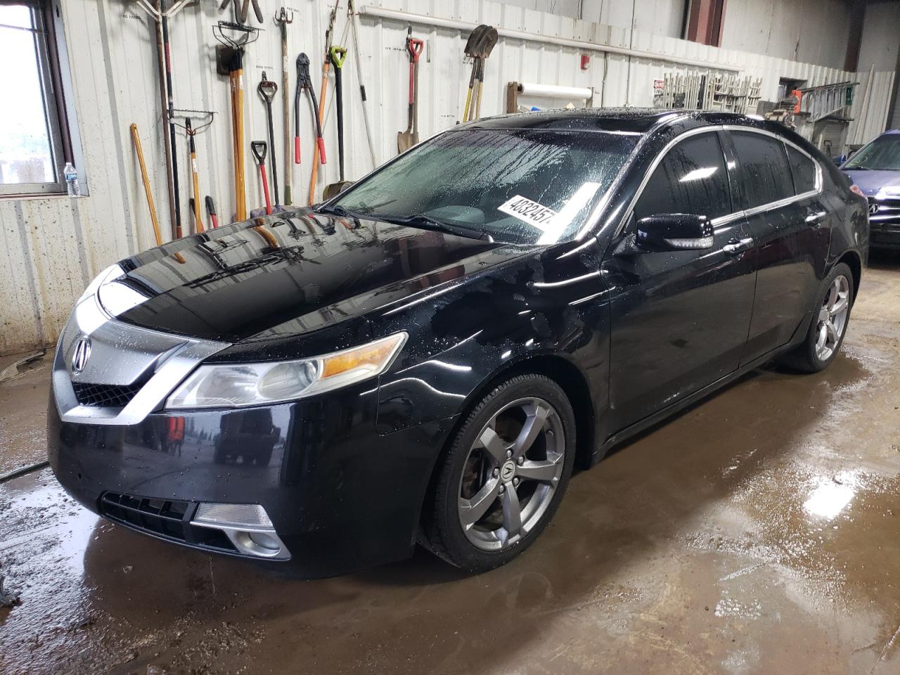 Photo 0 VIN: 19UUA96549A005779 - ACURA TL 