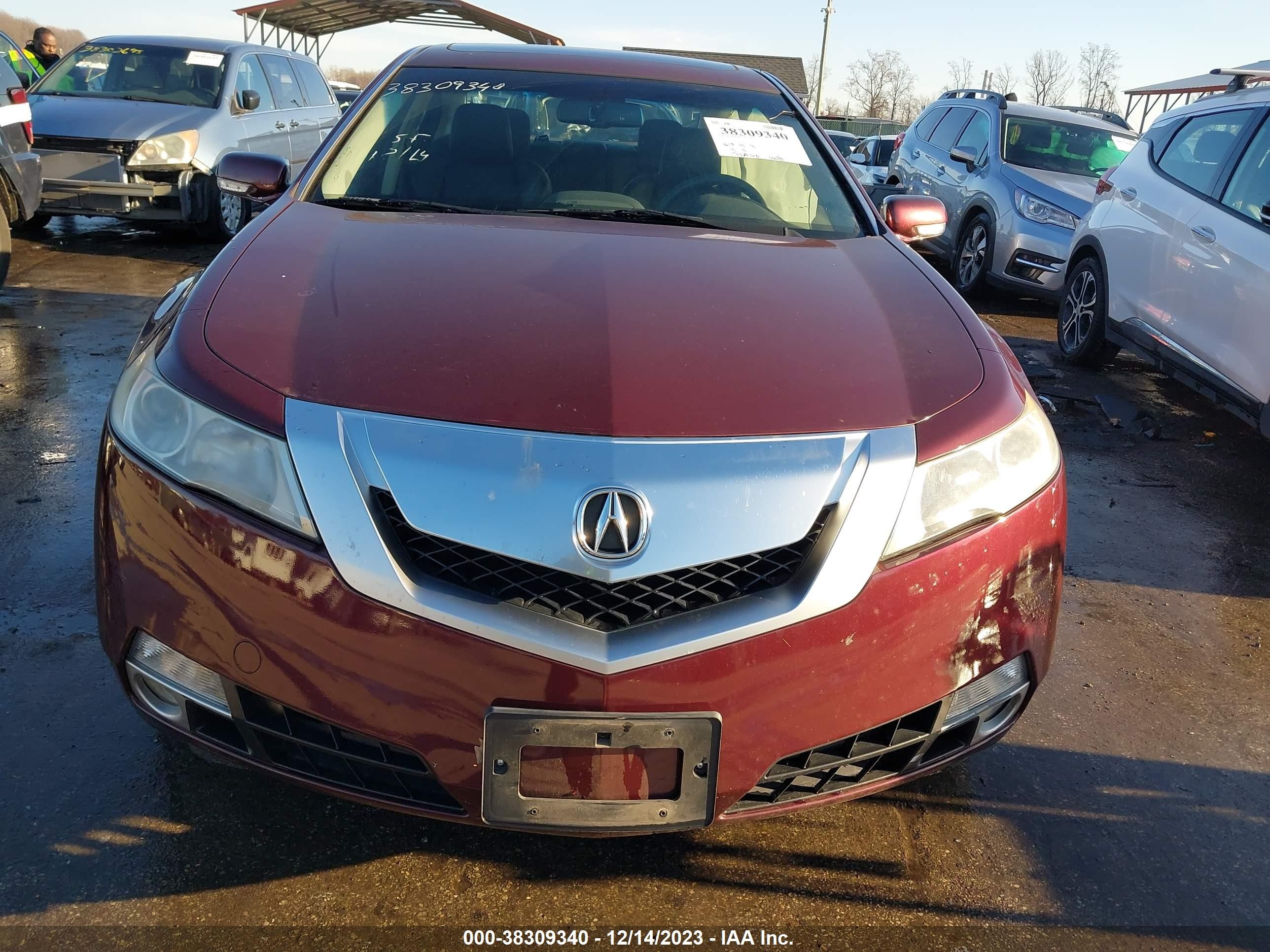 Photo 11 VIN: 19UUA96559A005967 - ACURA TL 