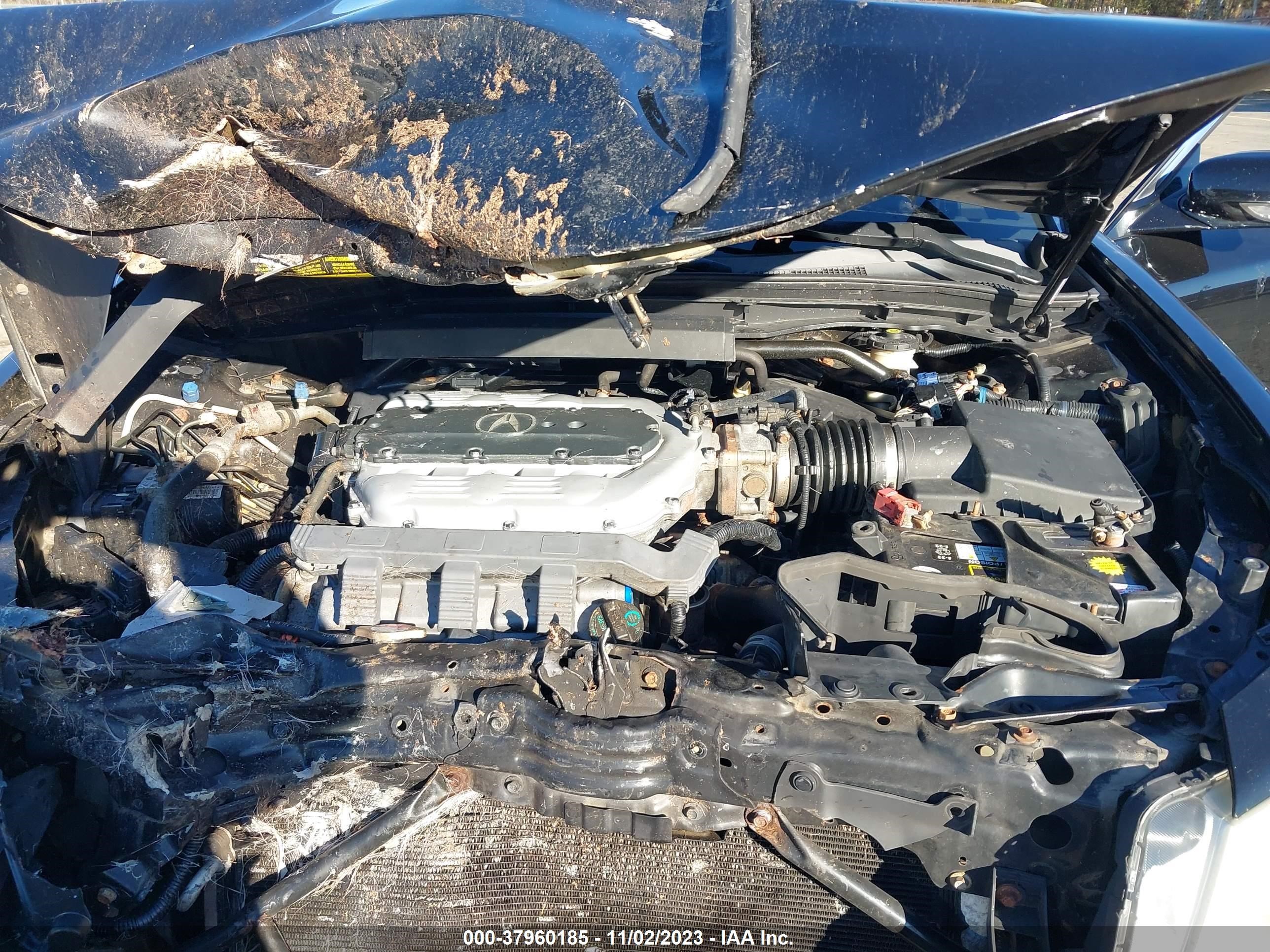 Photo 9 VIN: 19UUA96589A000911 - ACURA TL 