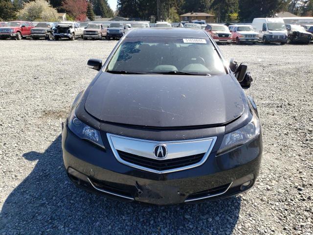 Photo 4 VIN: 19UUA9E50DA005594 - ACURA TL 