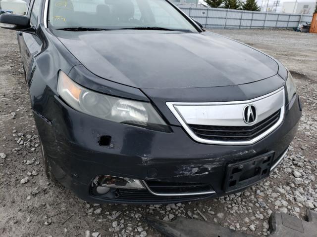 Photo 8 VIN: 19UUA9E51CA800202 - ACURA TL 