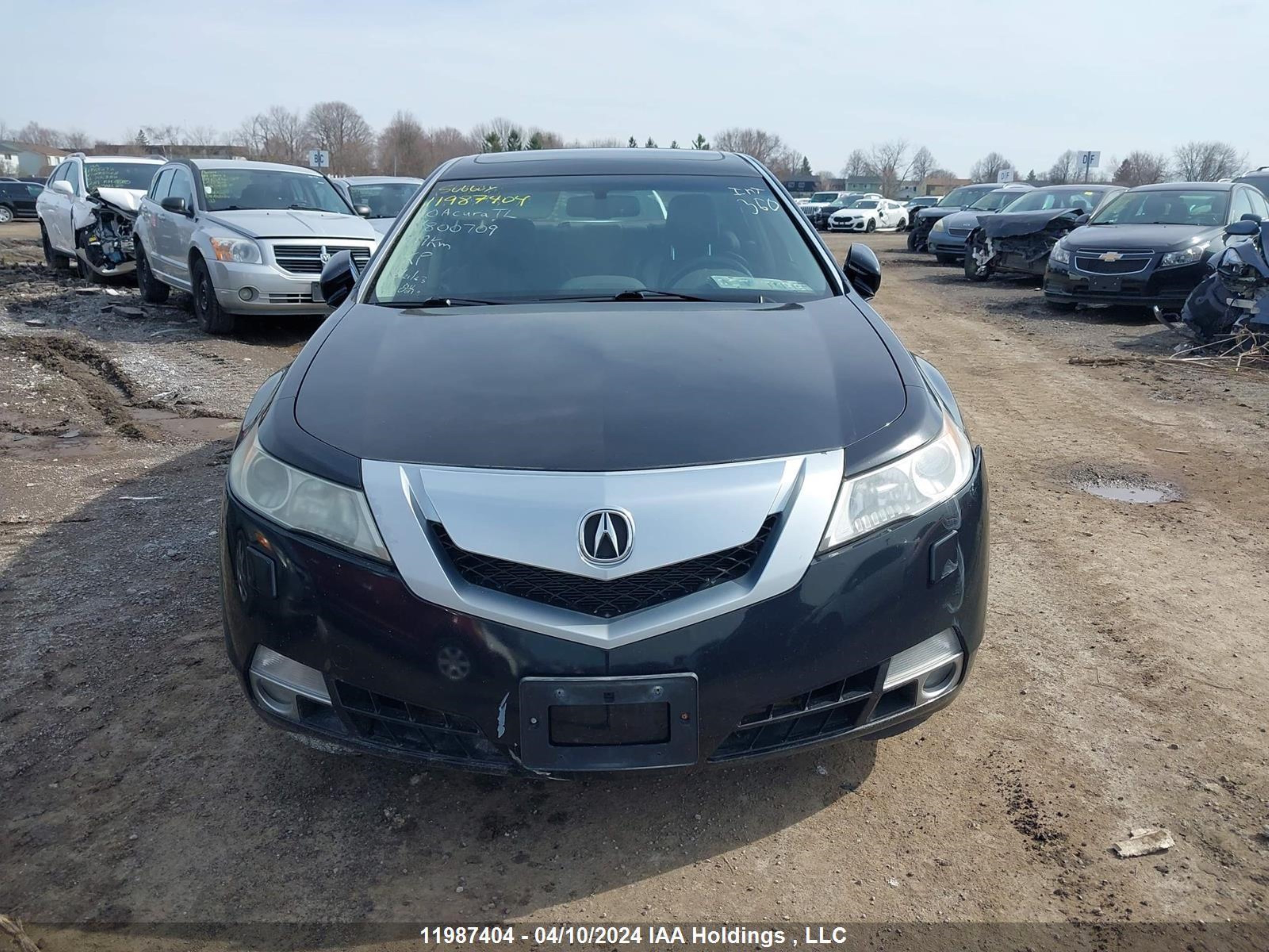 Photo 12 VIN: 19UUA9E56AA800709 - ACURA TL 