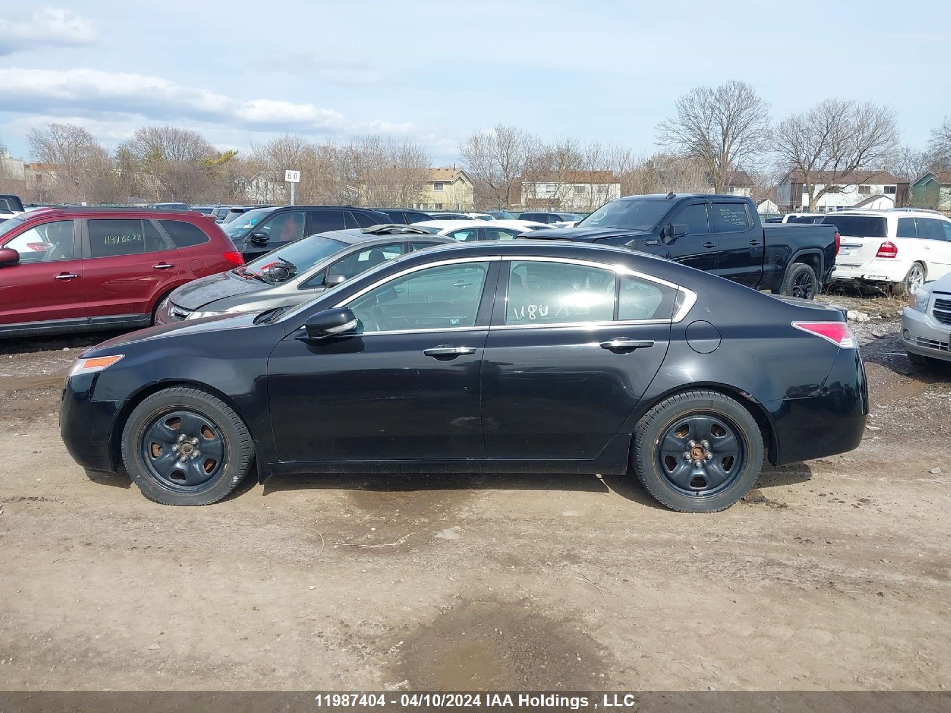 Photo 14 VIN: 19UUA9E56AA800709 - ACURA TL 