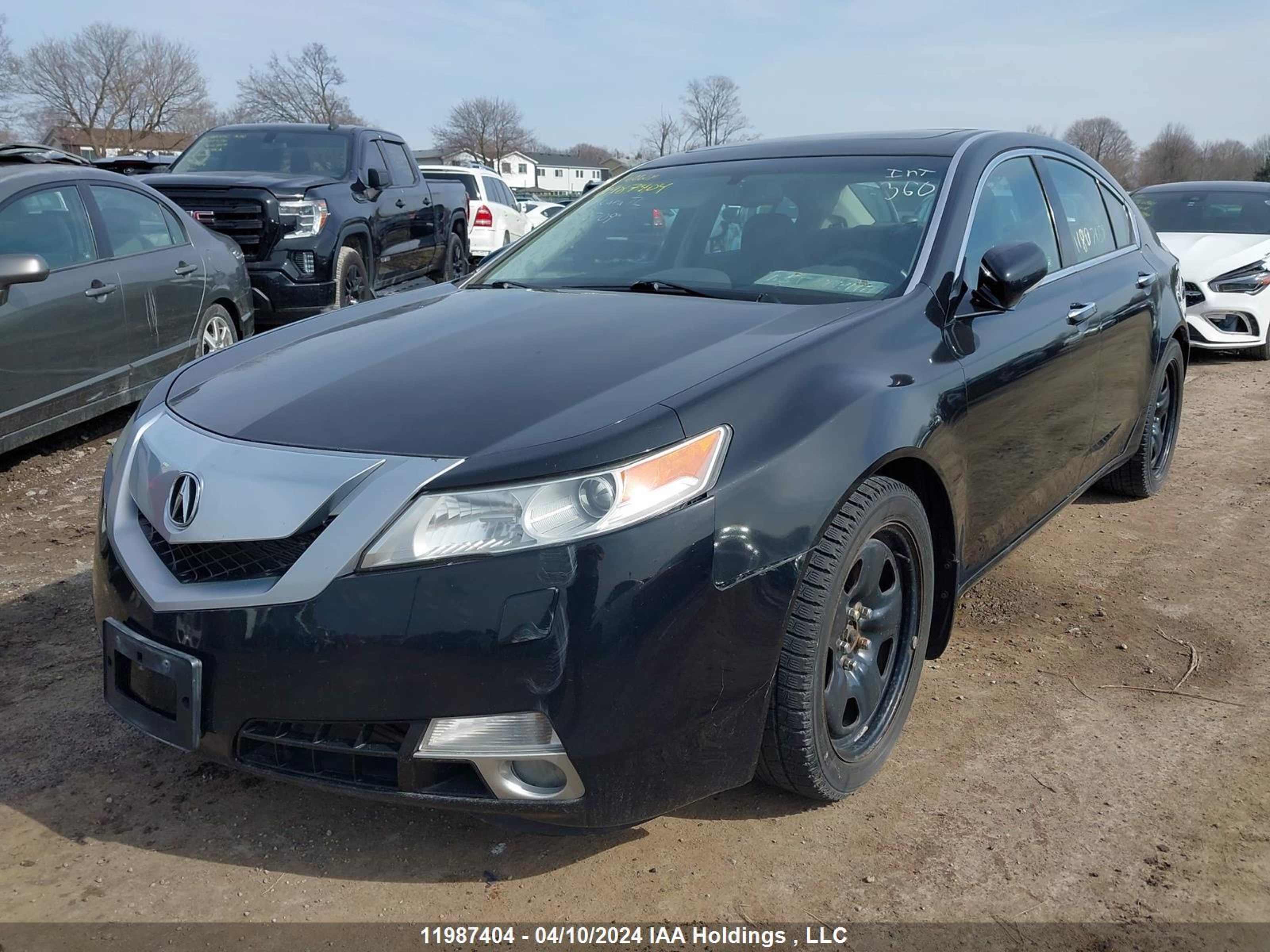 Photo 2 VIN: 19UUA9E56AA800709 - ACURA TL 