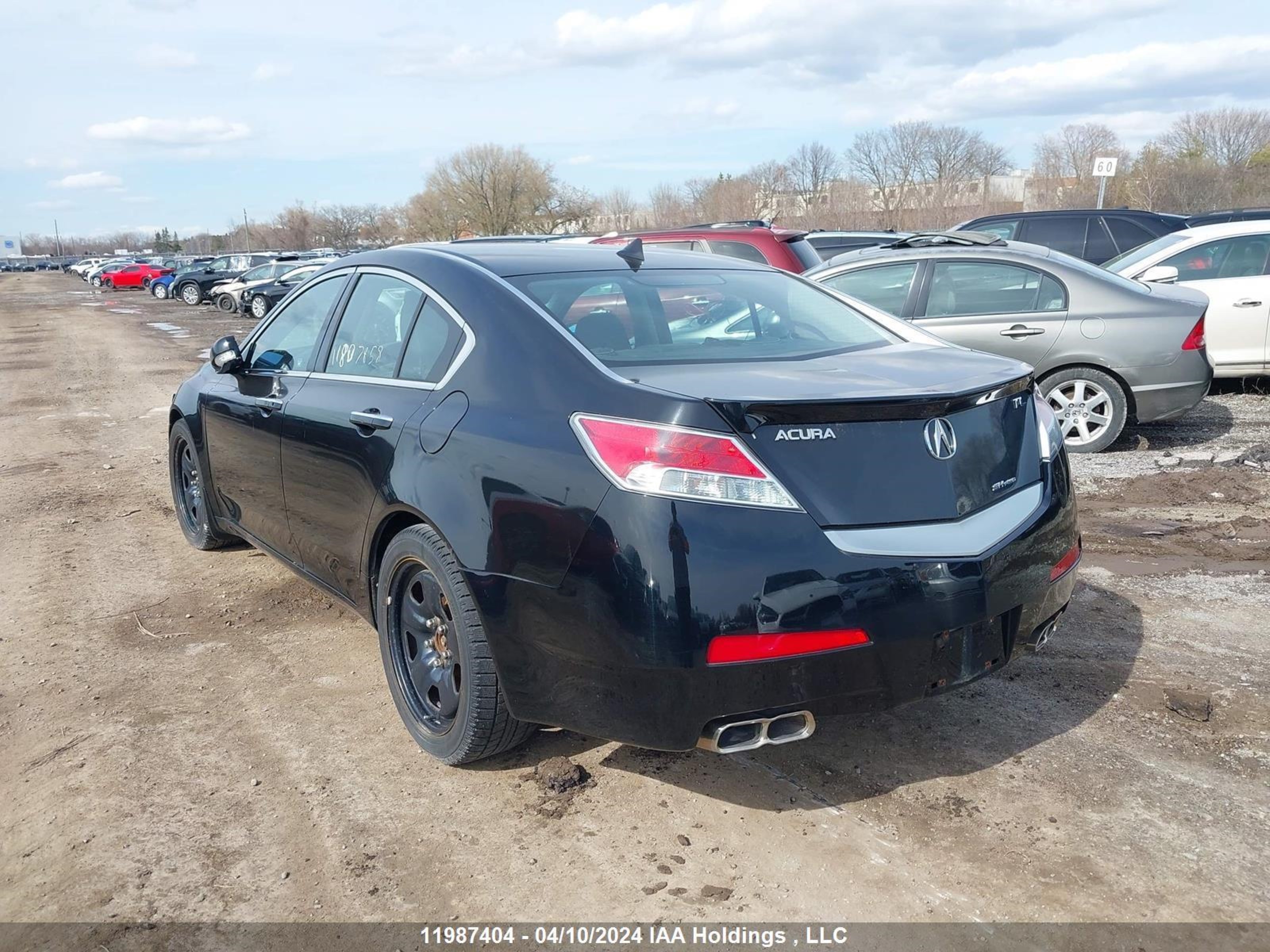 Photo 3 VIN: 19UUA9E56AA800709 - ACURA TL 