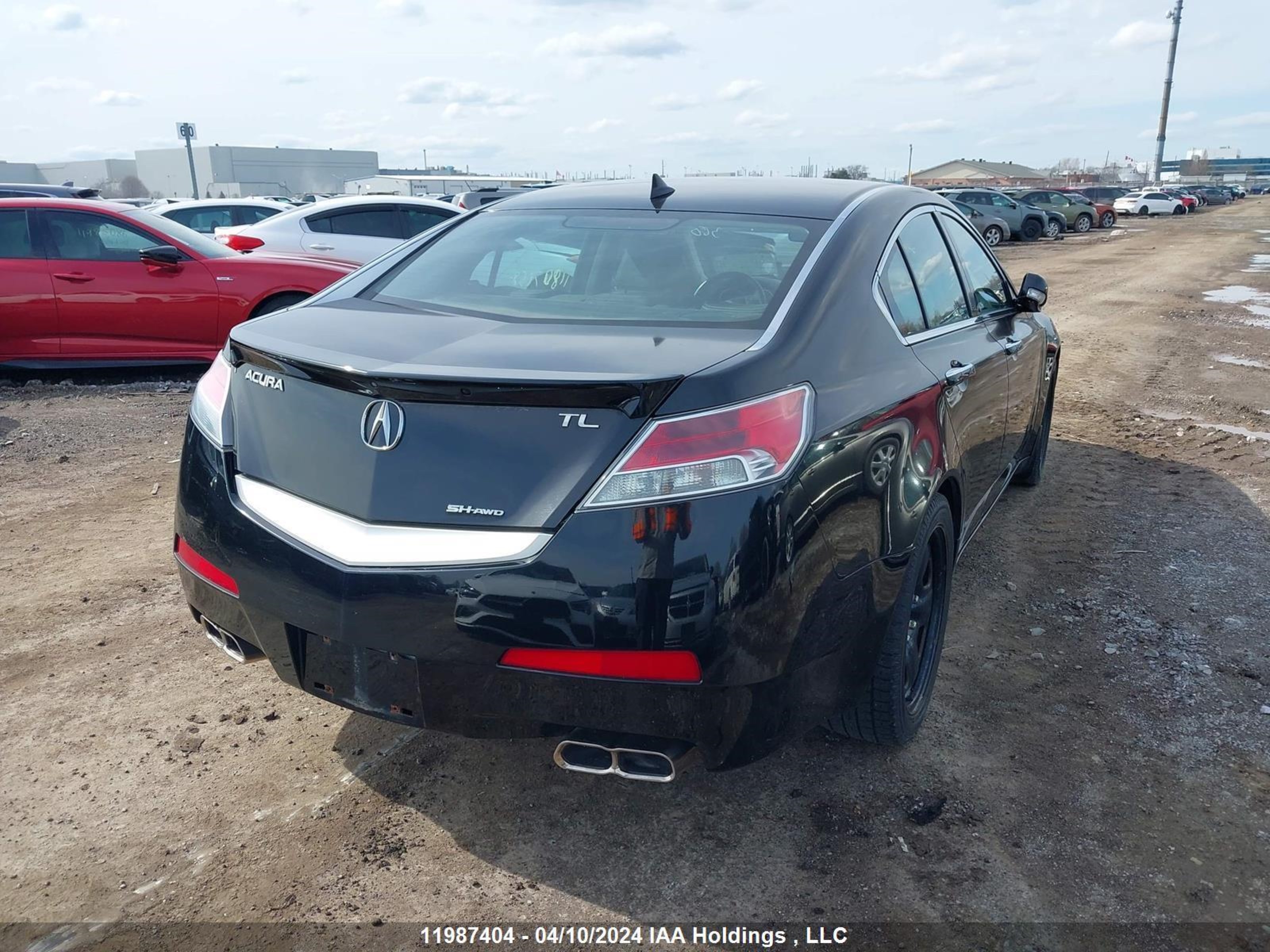 Photo 4 VIN: 19UUA9E56AA800709 - ACURA TL 