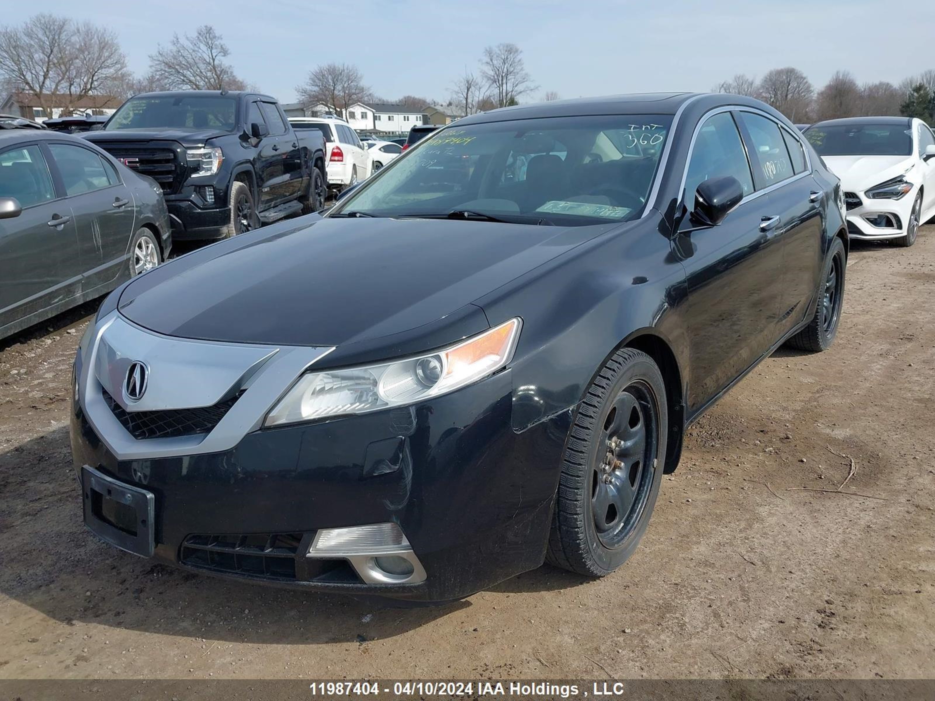 Photo 6 VIN: 19UUA9E56AA800709 - ACURA TL 