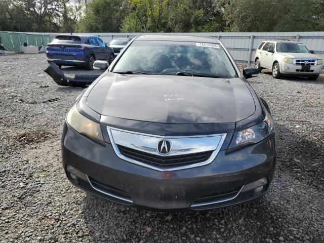 Photo 4 VIN: 19UUA9F22DA003138 - ACURA TL 