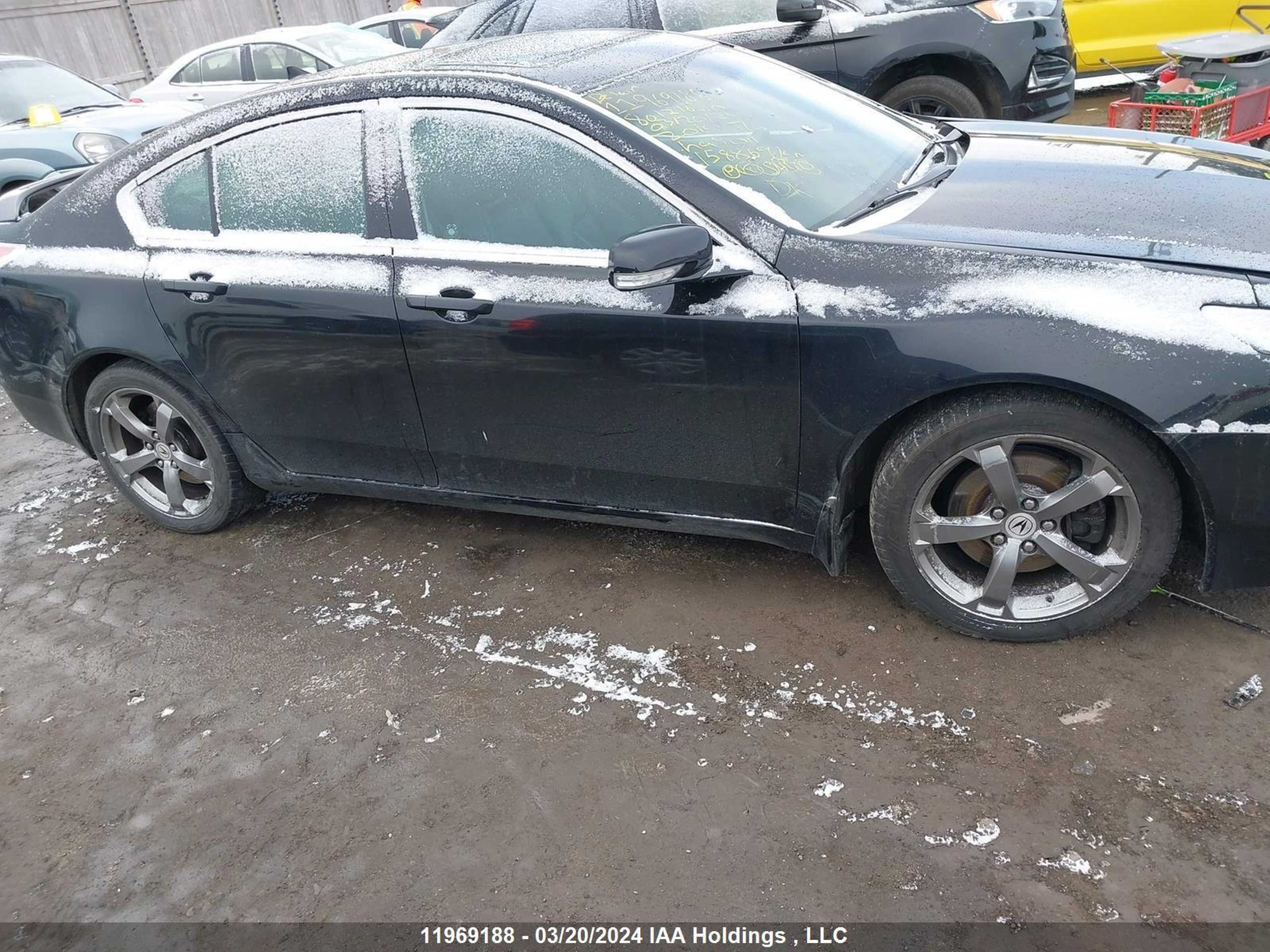 Photo 12 VIN: 19UUA9F24AA801216 - ACURA TL 