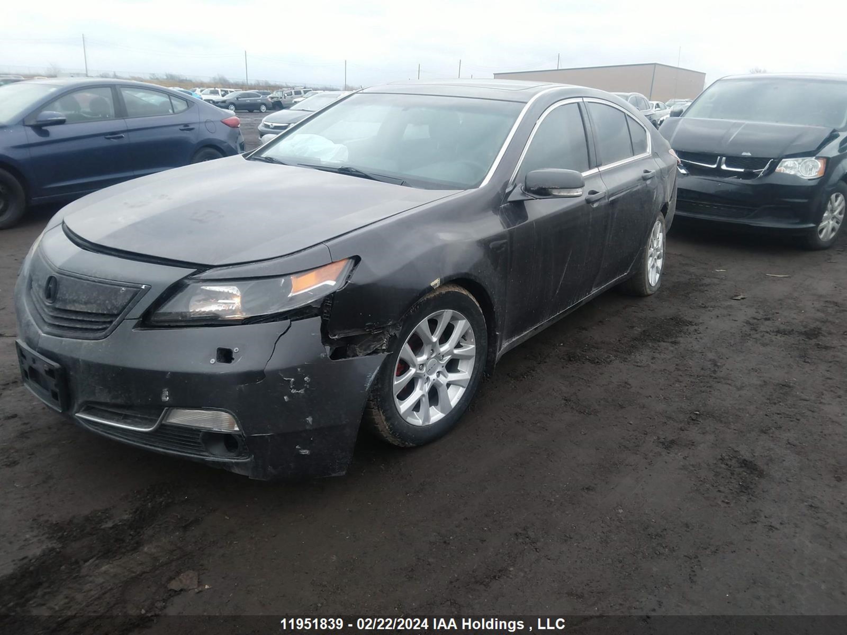 Photo 1 VIN: 19UUA9F25CA800384 - ACURA TL 