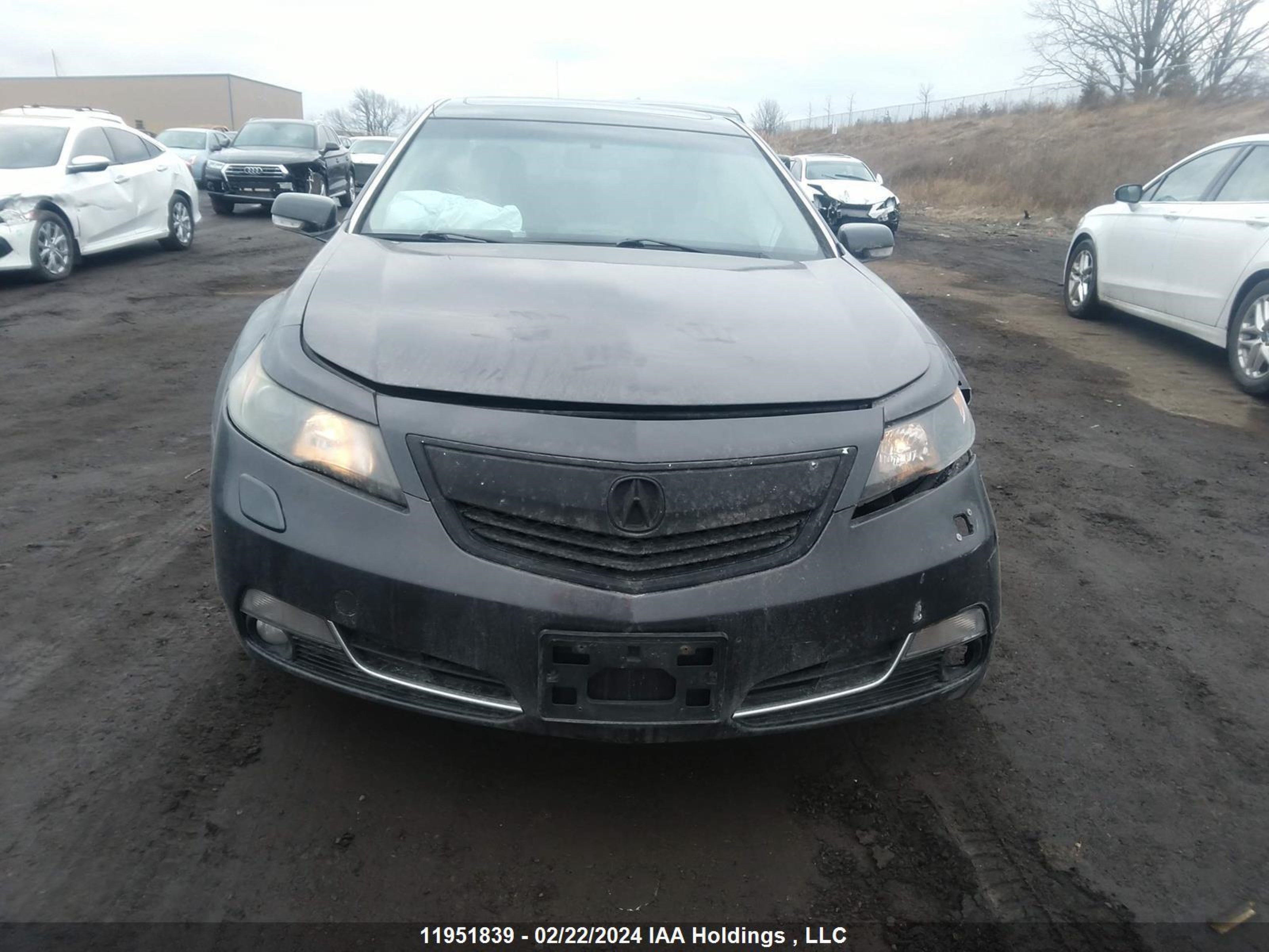 Photo 11 VIN: 19UUA9F25CA800384 - ACURA TL 