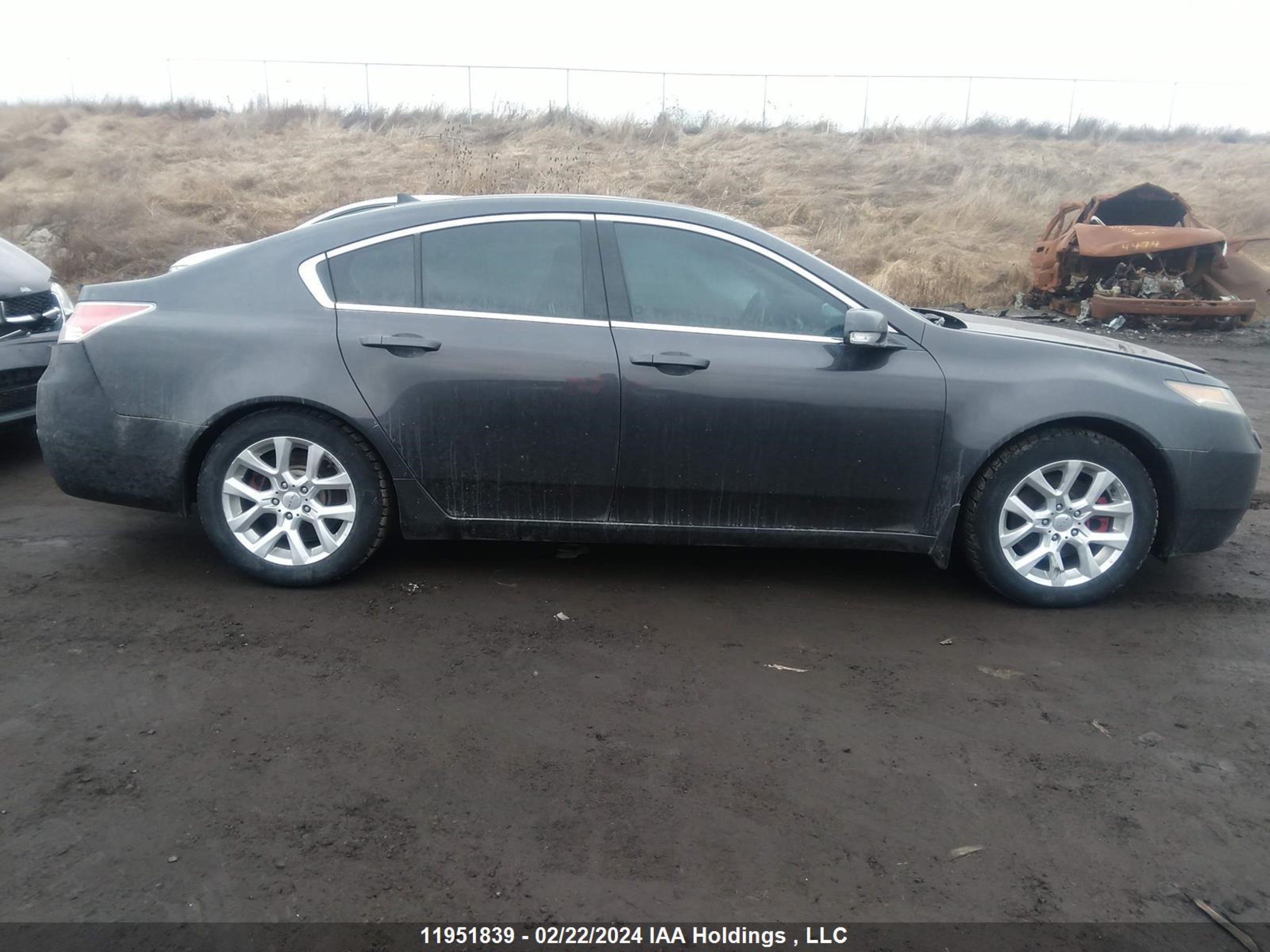 Photo 12 VIN: 19UUA9F25CA800384 - ACURA TL 