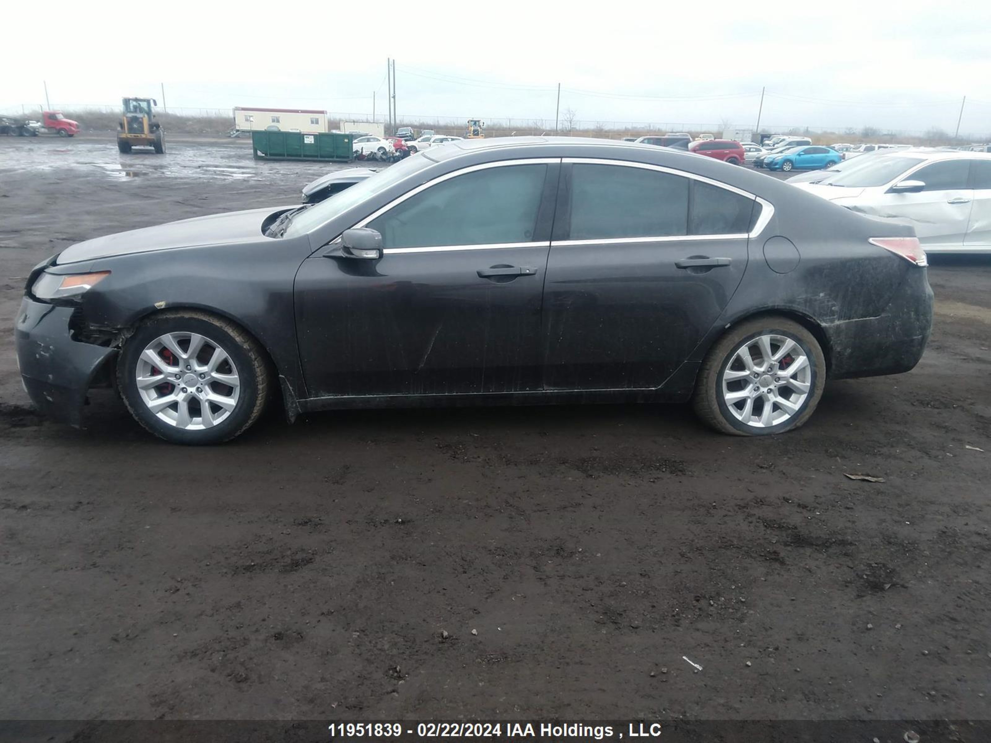 Photo 13 VIN: 19UUA9F25CA800384 - ACURA TL 