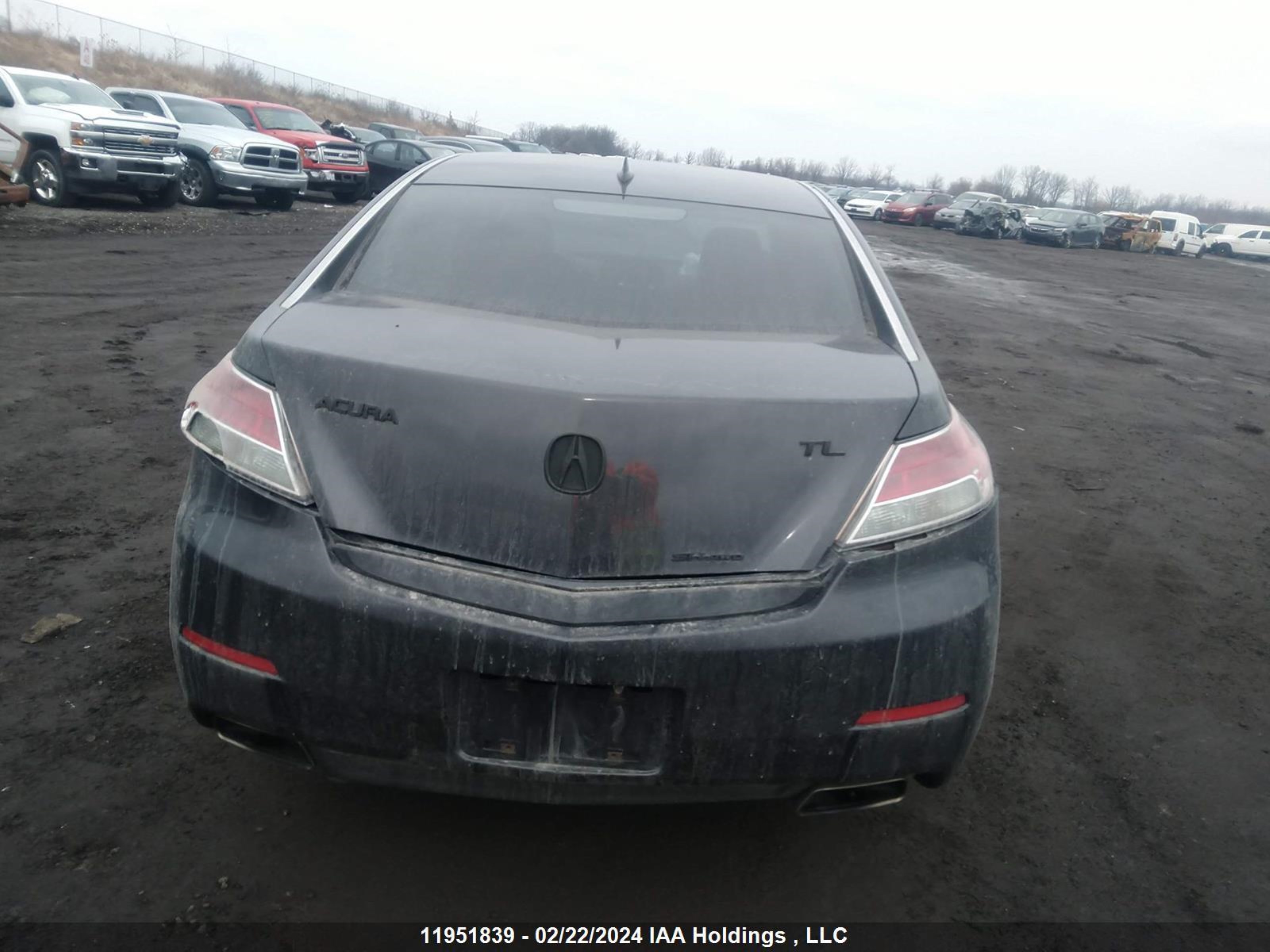 Photo 15 VIN: 19UUA9F25CA800384 - ACURA TL 