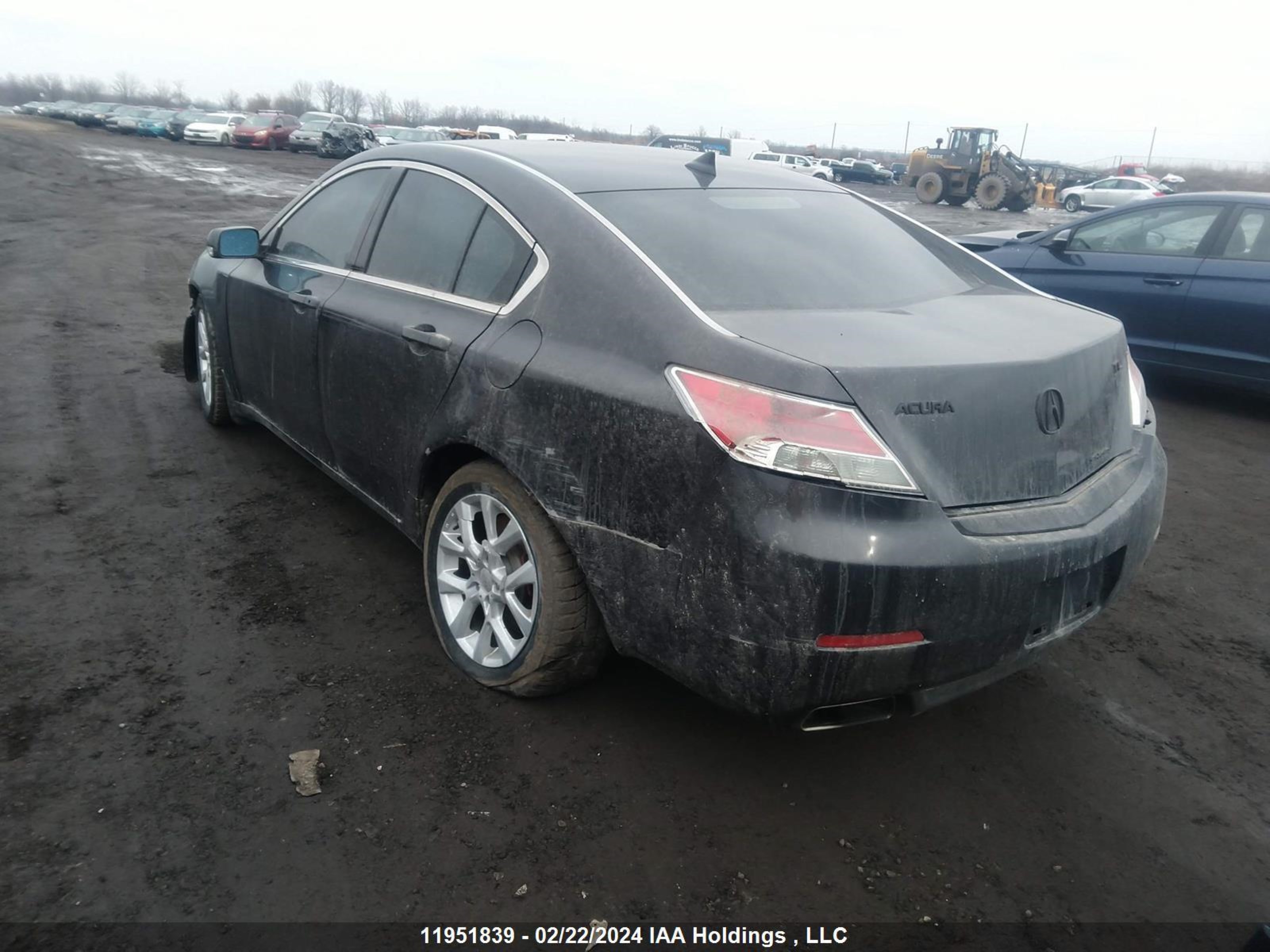 Photo 2 VIN: 19UUA9F25CA800384 - ACURA TL 