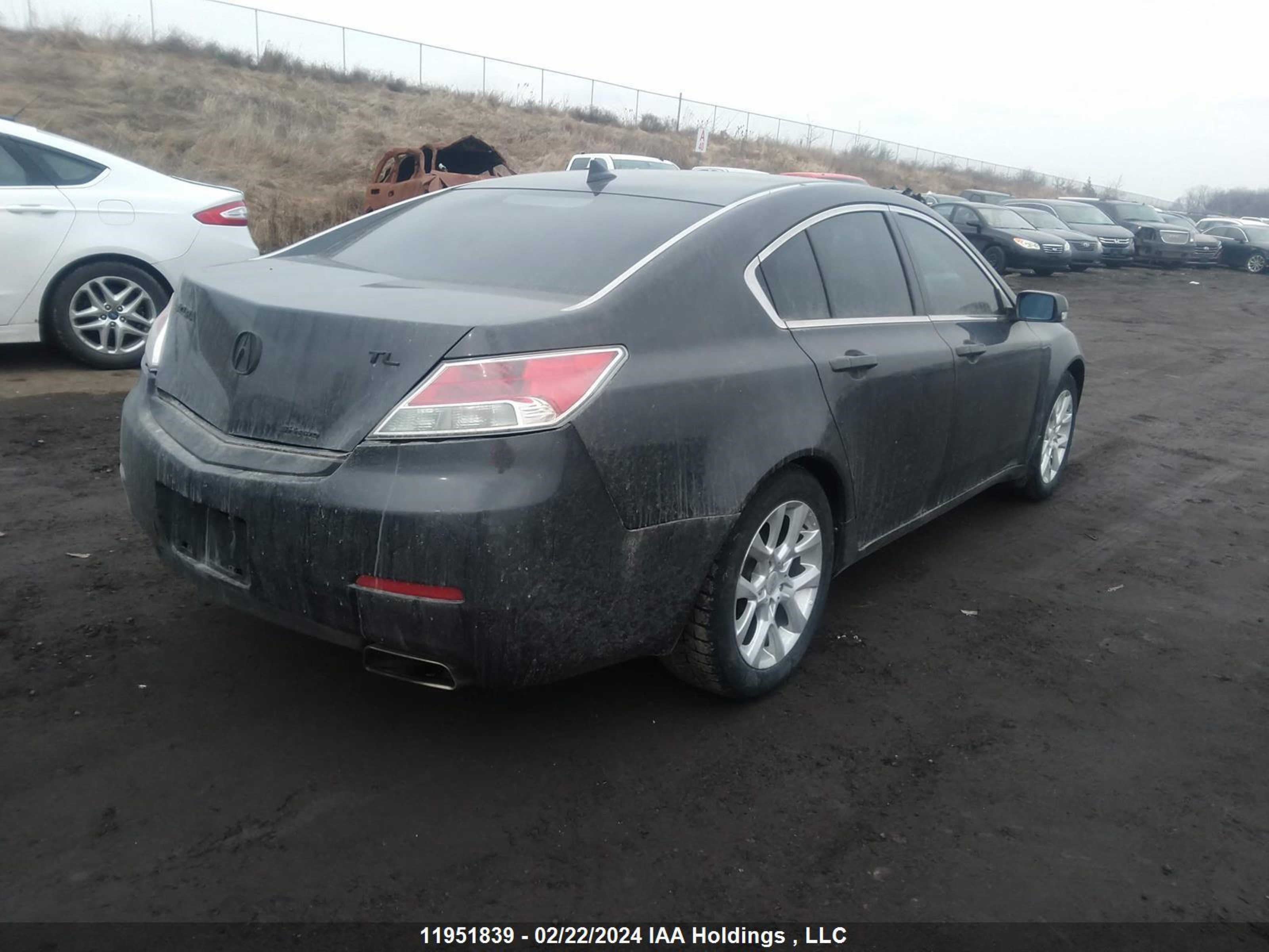 Photo 3 VIN: 19UUA9F25CA800384 - ACURA TL 