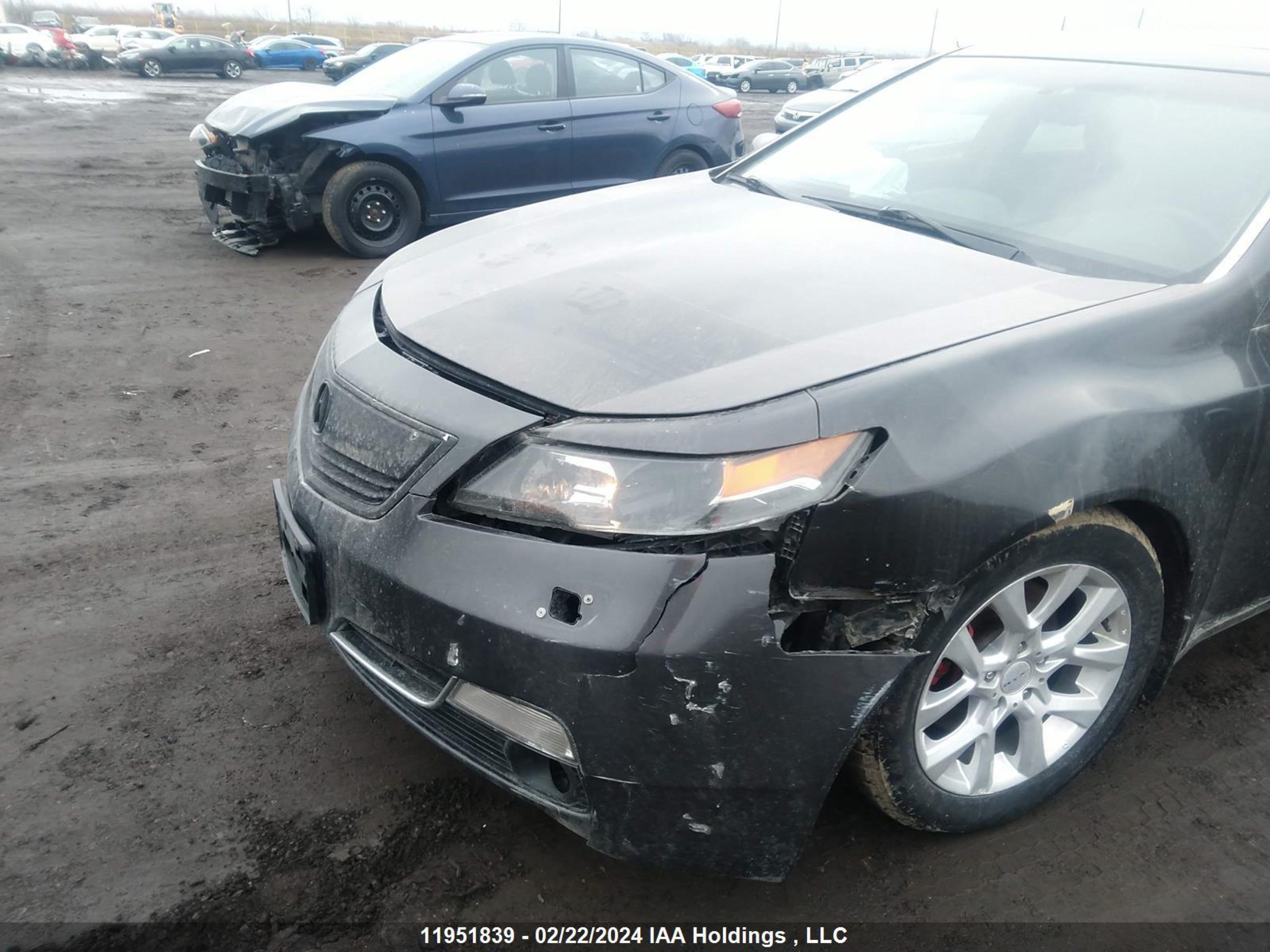 Photo 5 VIN: 19UUA9F25CA800384 - ACURA TL 