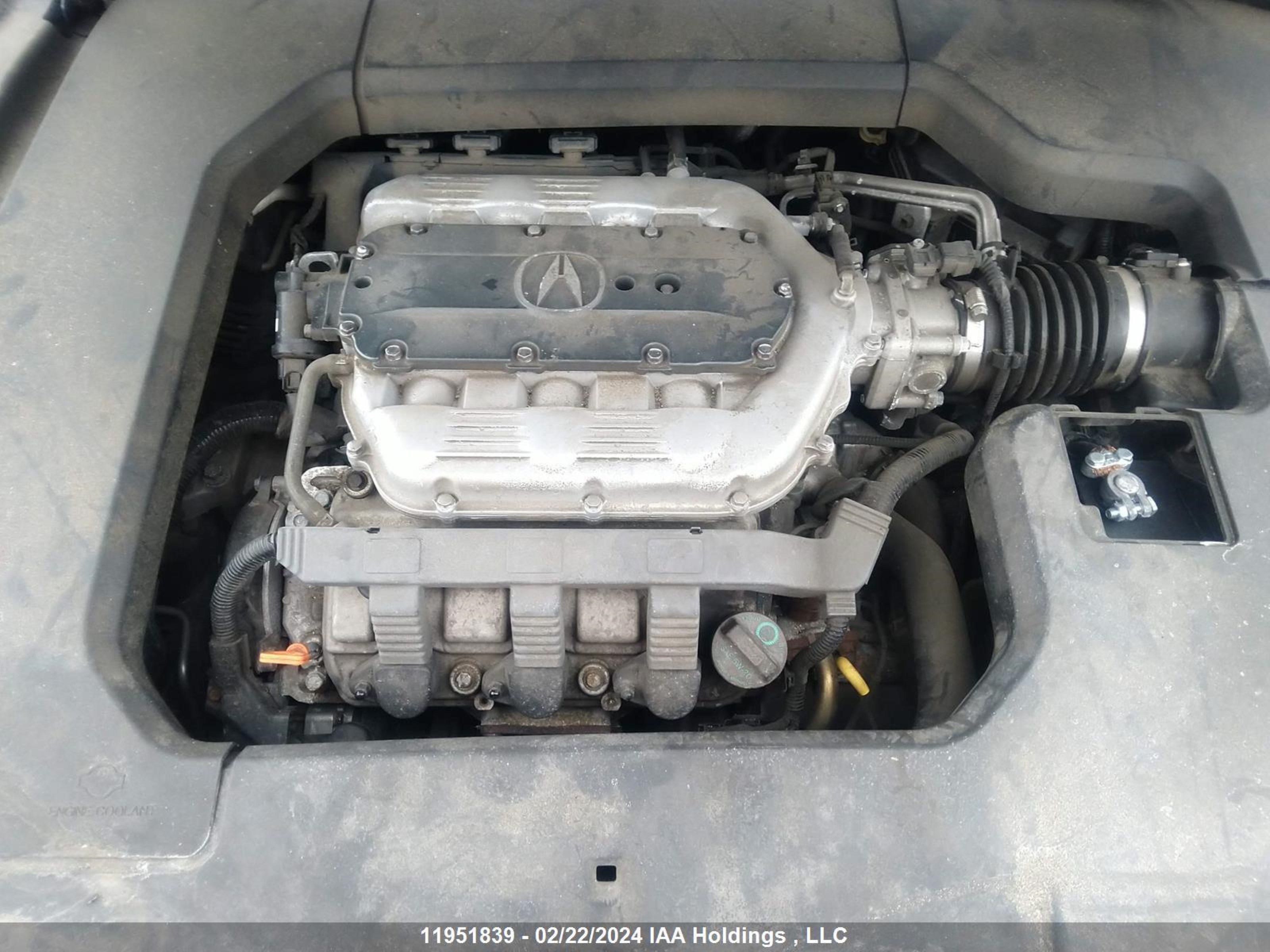 Photo 9 VIN: 19UUA9F25CA800384 - ACURA TL 