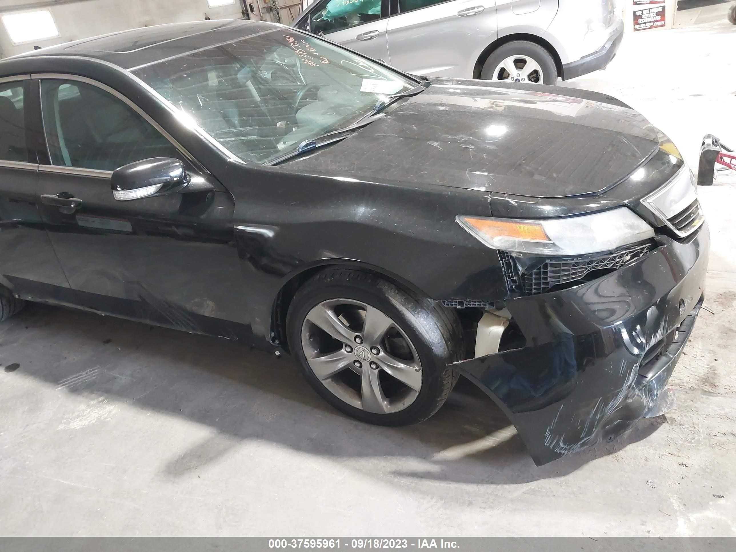 Photo 5 VIN: 19UUA9F28DA000373 - ACURA TL 