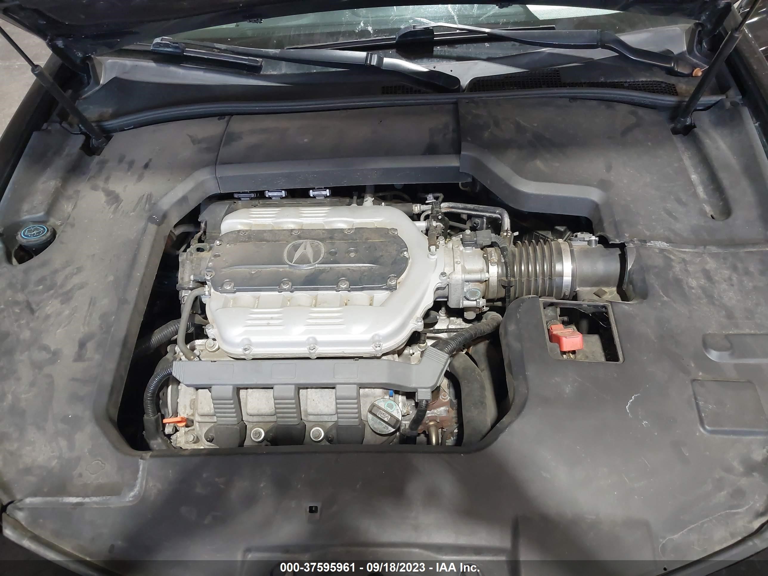 Photo 9 VIN: 19UUA9F28DA000373 - ACURA TL 