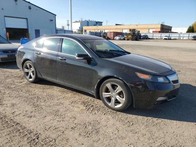 Photo 3 VIN: 19UUA9F2XCA800736 - ACURA TL 