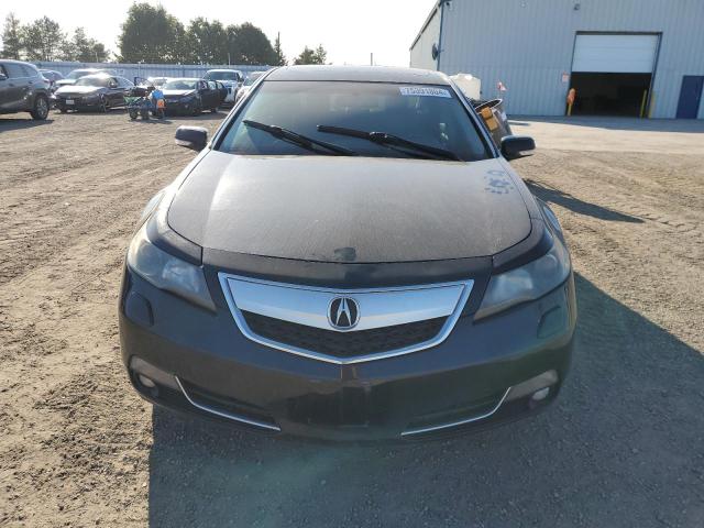 Photo 4 VIN: 19UUA9F2XCA800736 - ACURA TL 