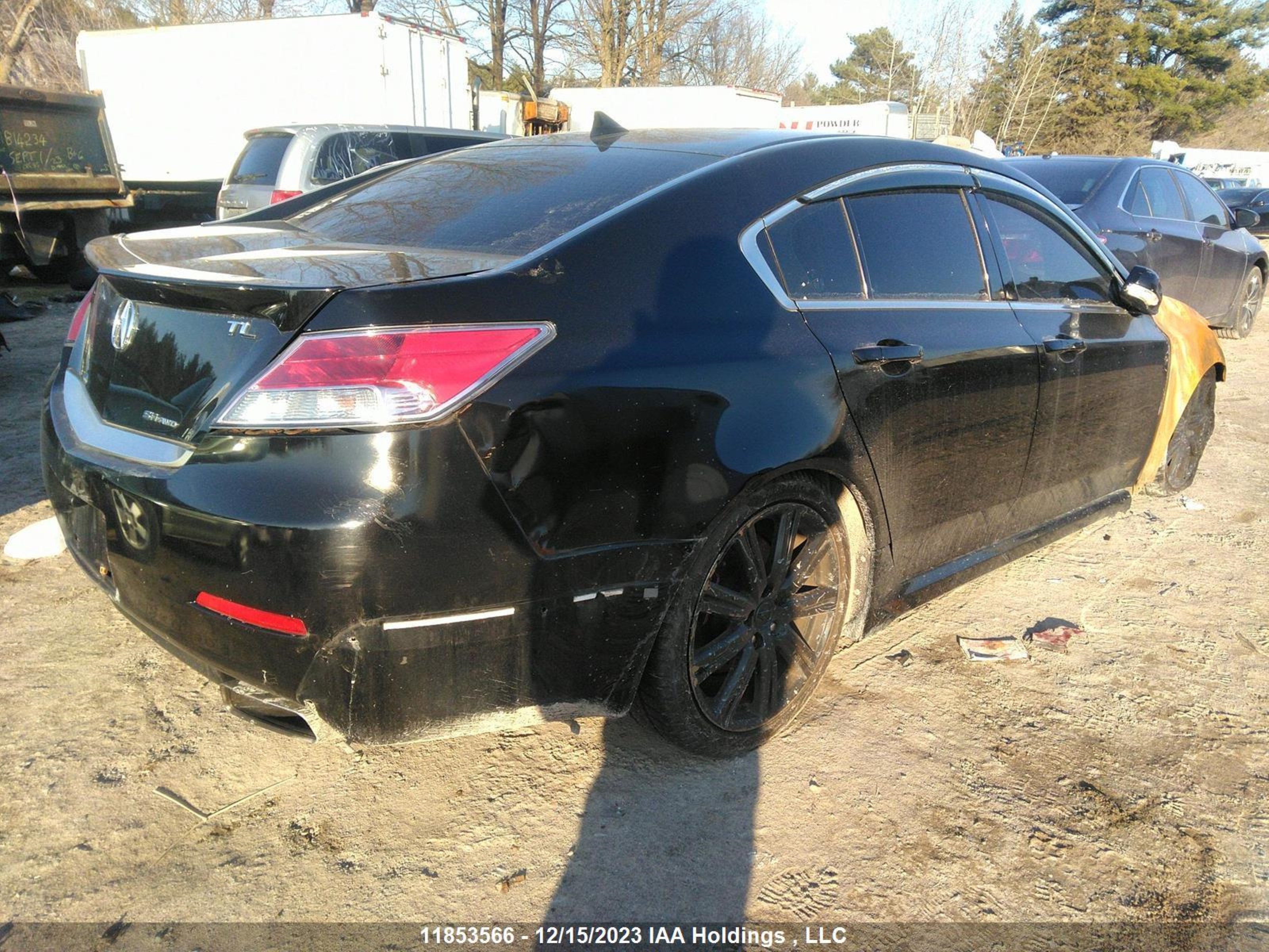 Photo 3 VIN: 19UUA9F35EA800039 - ACURA TL 