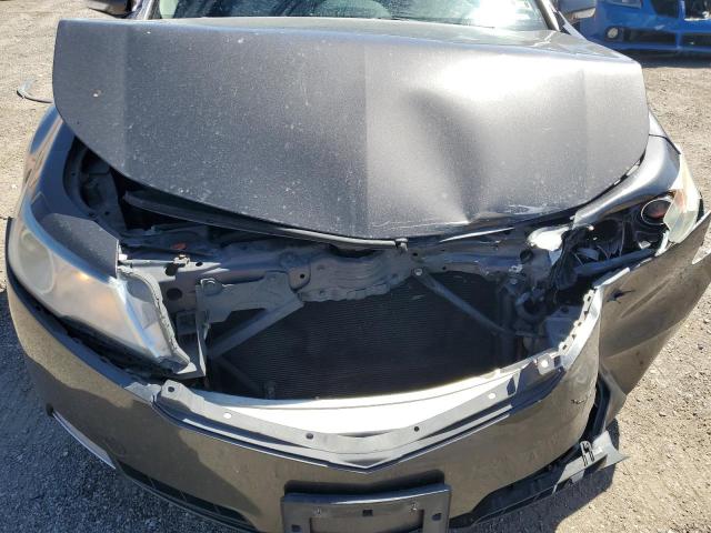 Photo 10 VIN: 19UUA9F50AA001913 - ACURA TL 