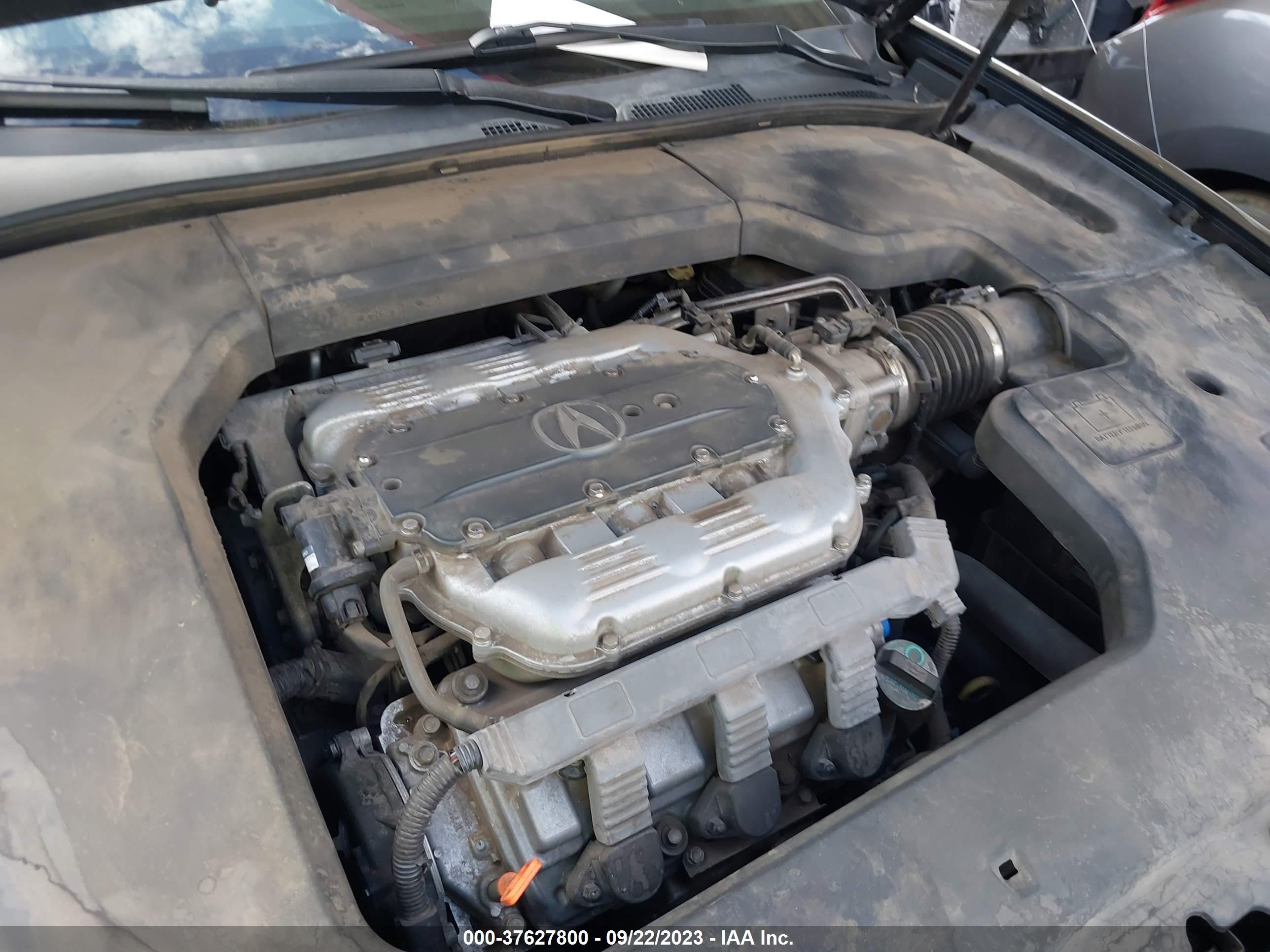 Photo 9 VIN: 19UUA9F50BA003114 - ACURA TL 